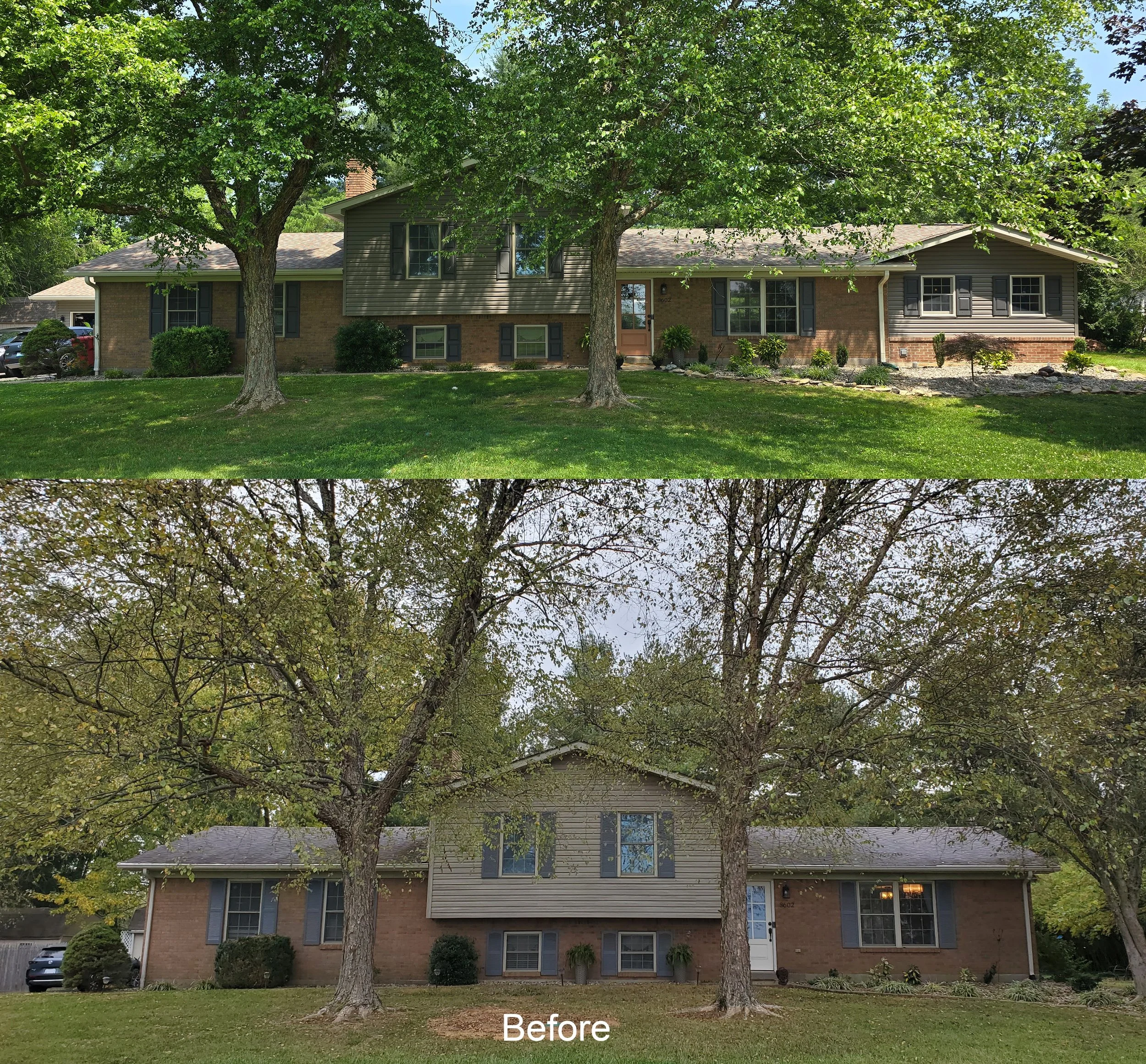 Before & After.jpg