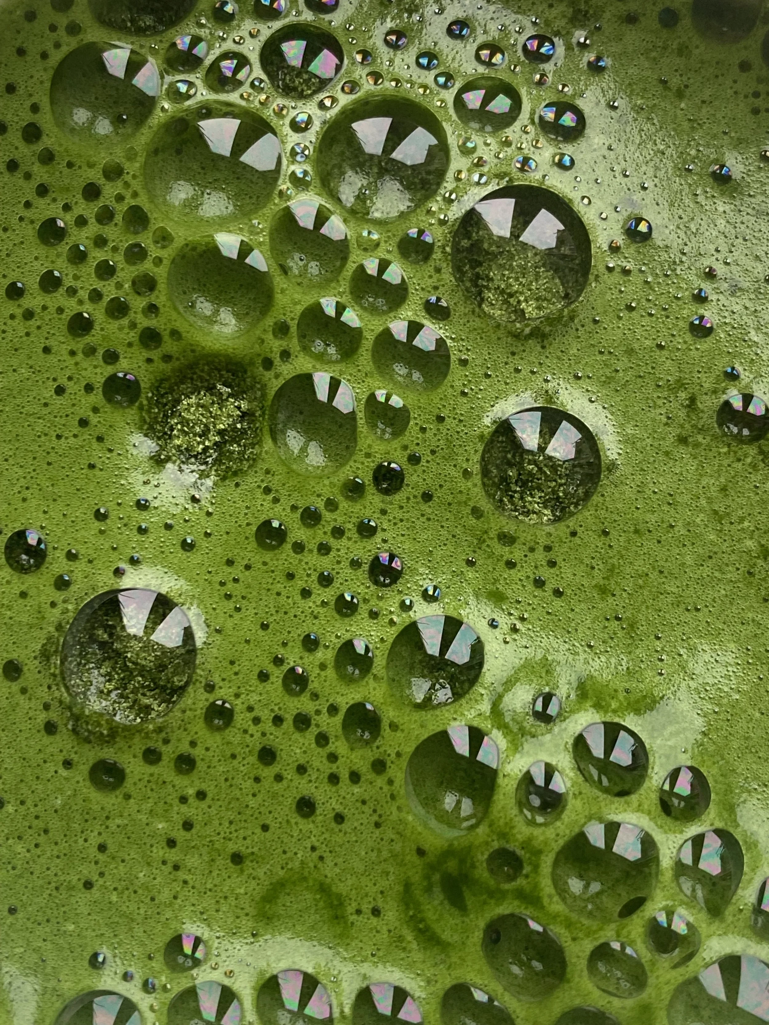 Your Gut is Talking to your Brain — Are you Listening?