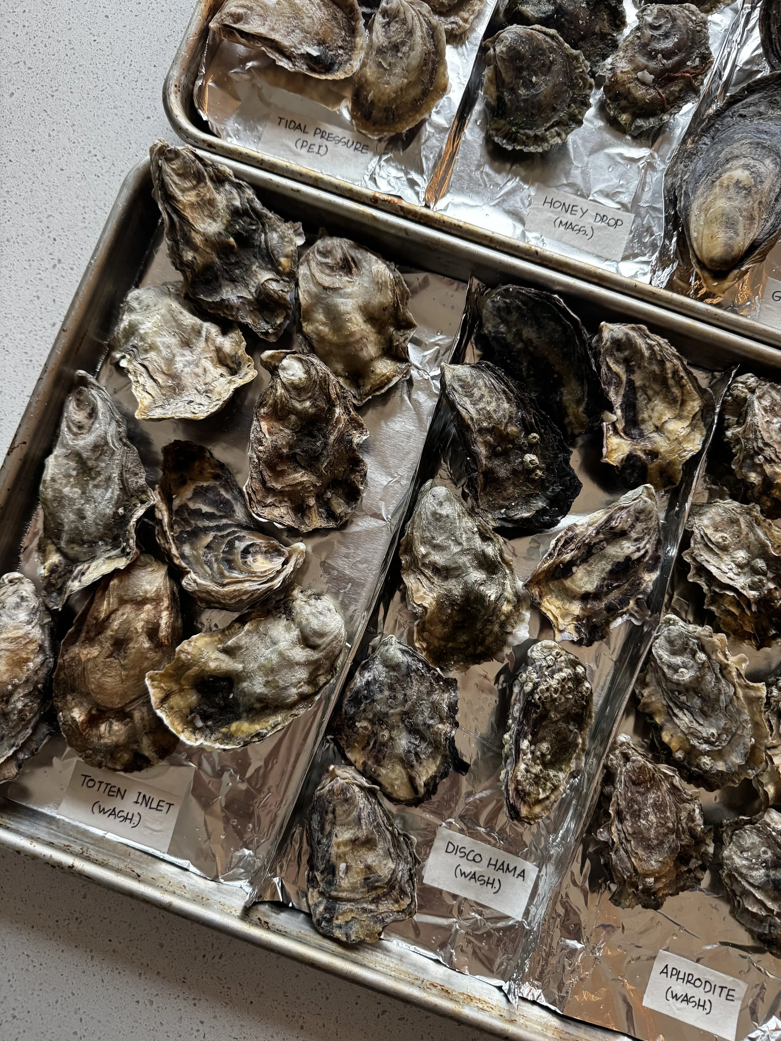oysters.jpg