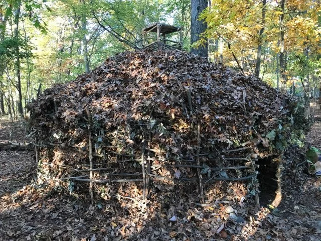 Primitive Shelter • Cornwall, NY • 2021