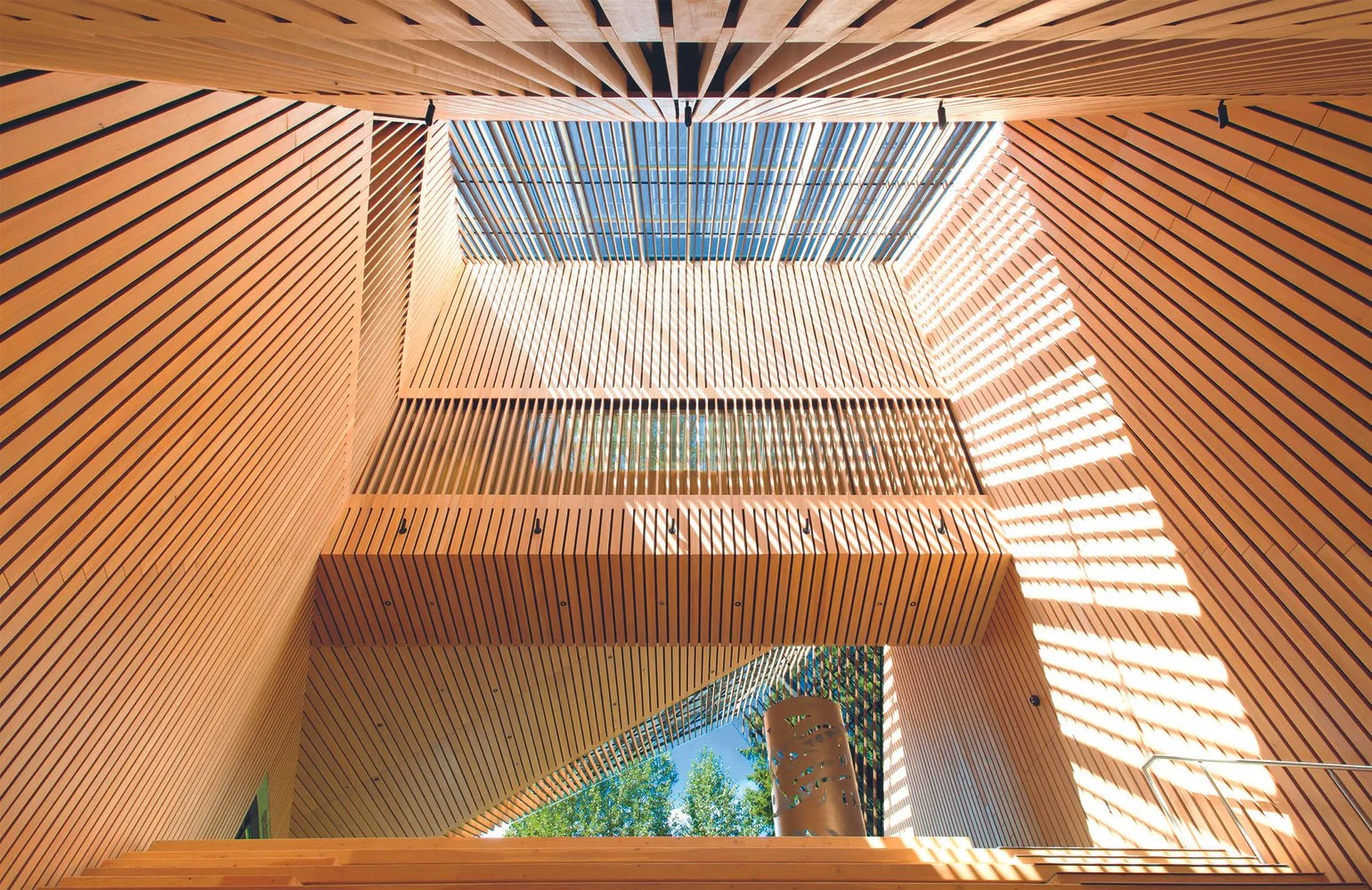 biophilic-architecture-without-plants-invisible-design-for-wellbeing