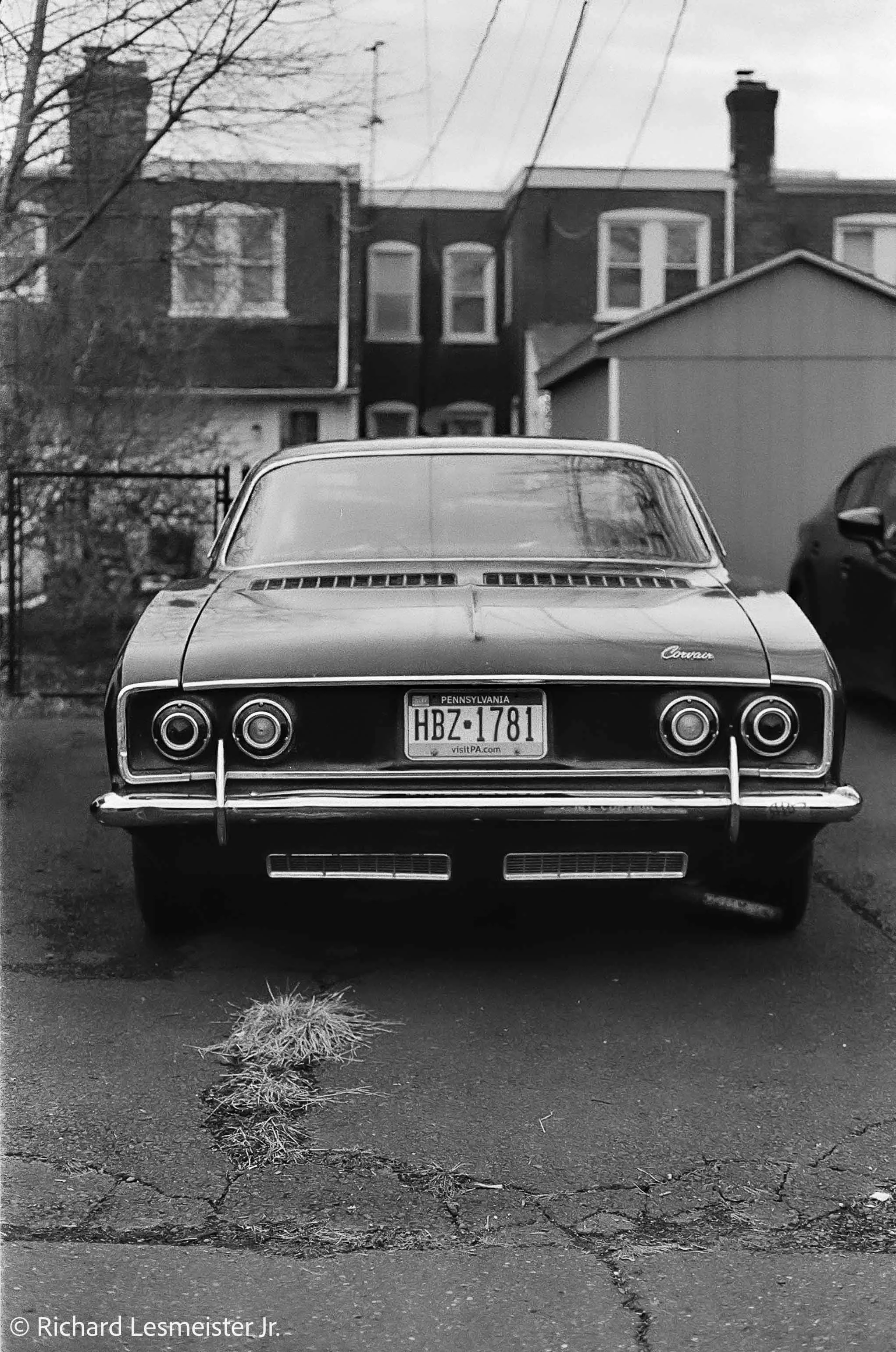 leica-m6-big-m-logo-lesmeister-1.jpg