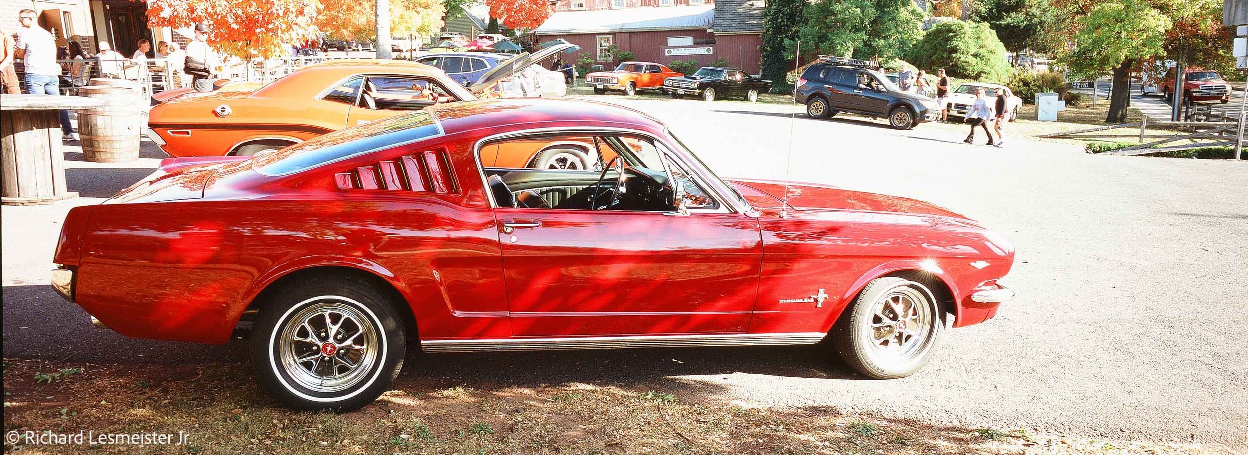 leica-m6-big-logo-rangefinder-lesmeister-2 2.jpg