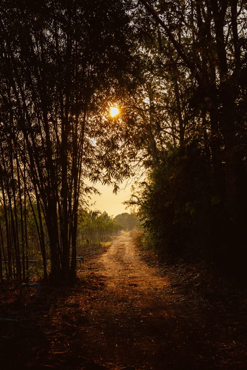 E2718_THAILAND_CASE_78254.jpg