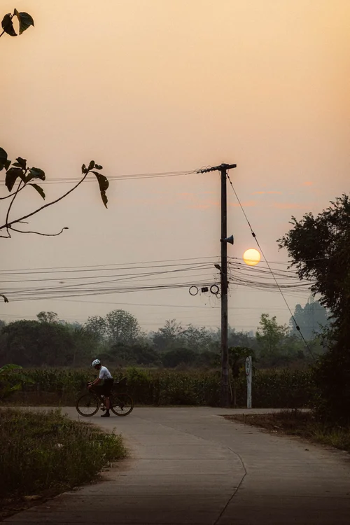 E2718_THAILAND_CASE_78257.jpg