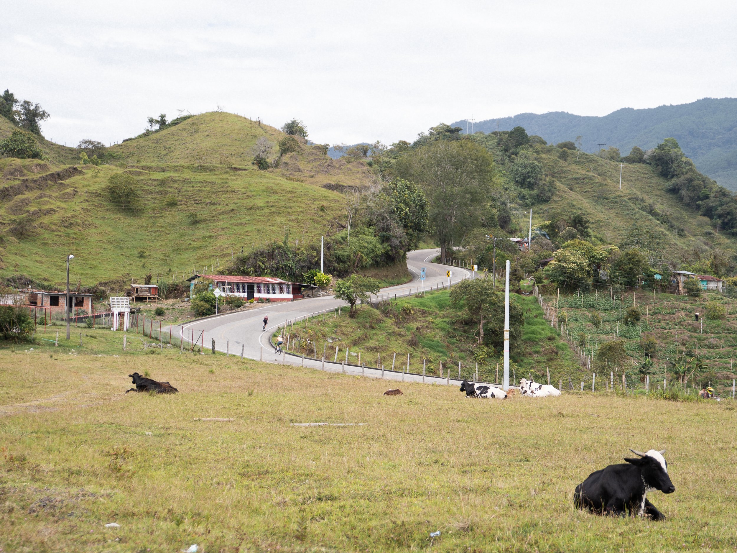 e2.718_studio_case_colombia_clippedtours_02.jpg