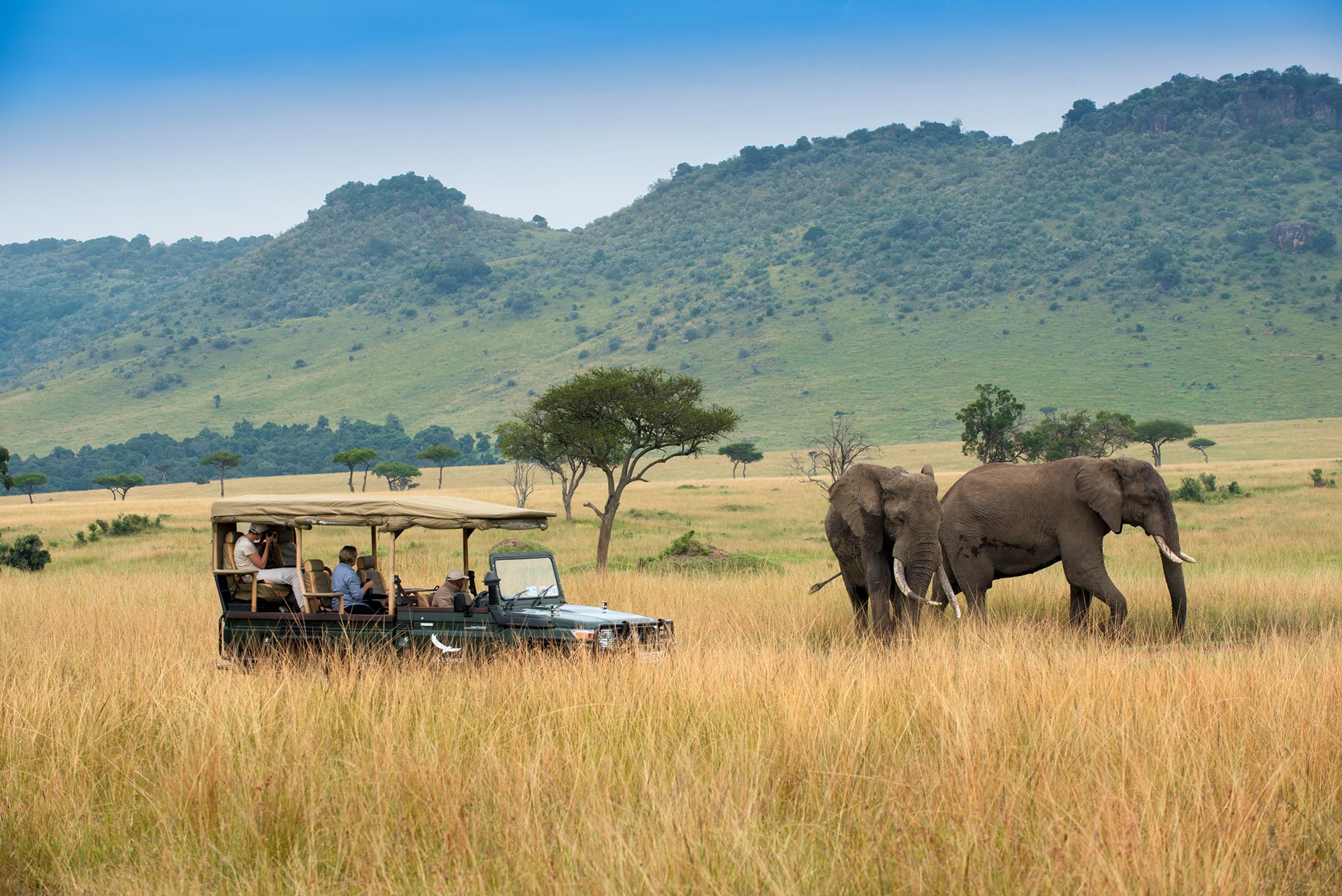 Kenya-Masai-Mara-Bateleur-Camp-elephant-safari-vehicle-13.jpg