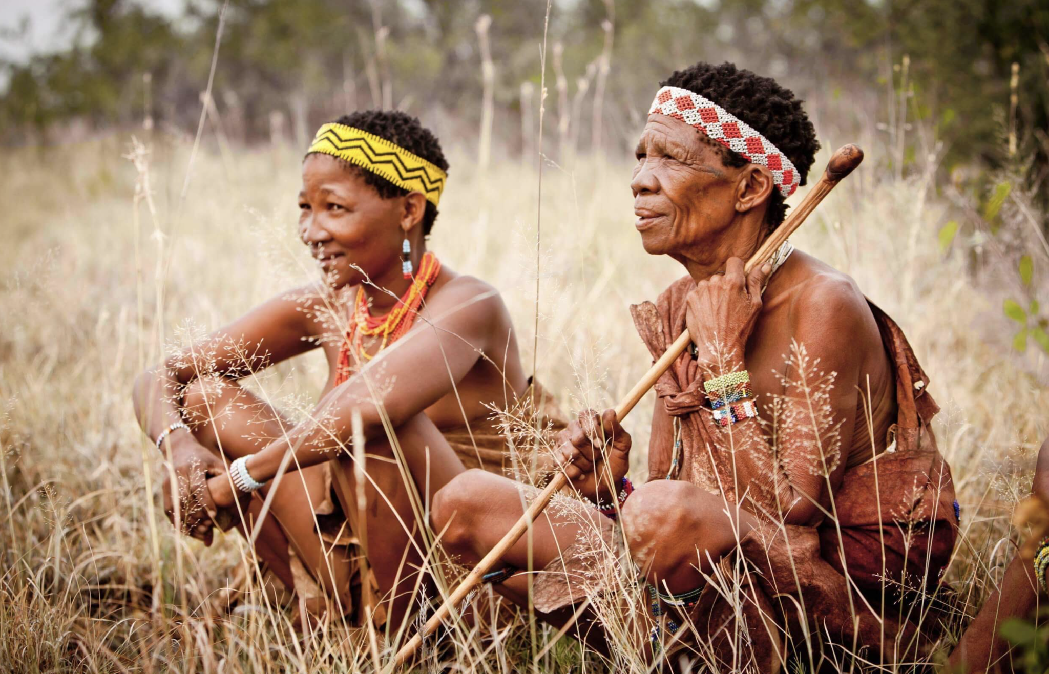 Screenshot 2024-09-20 at 11.54.11 AM.png