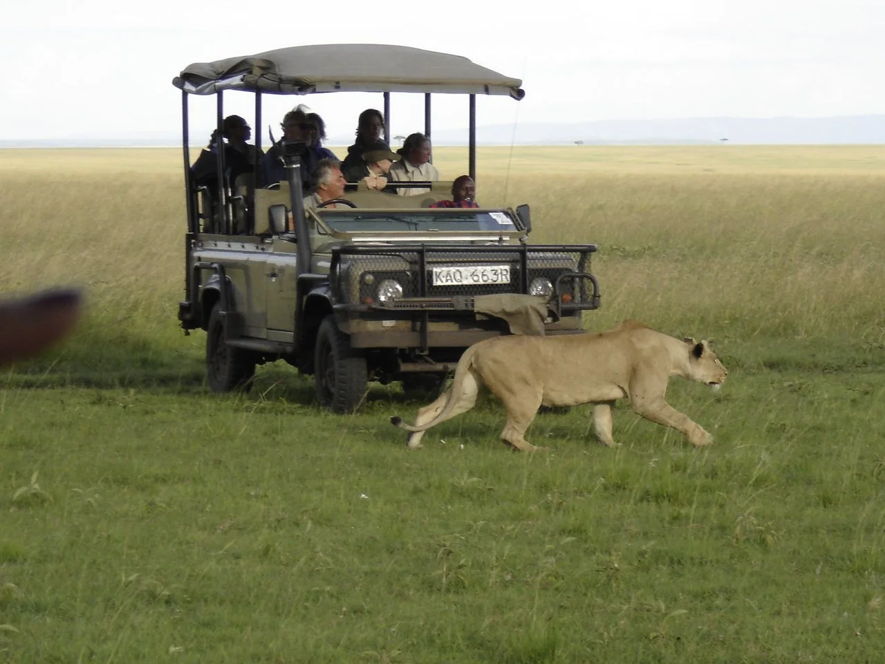 Saruni Mara (38).jpg