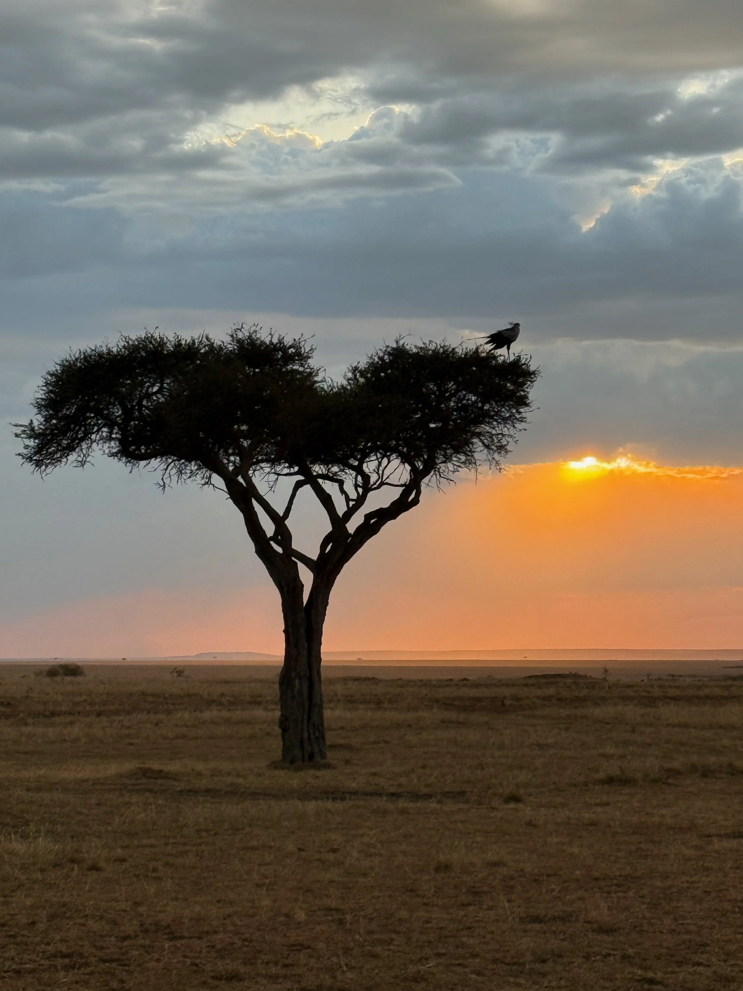 Kenya Stole my Heart