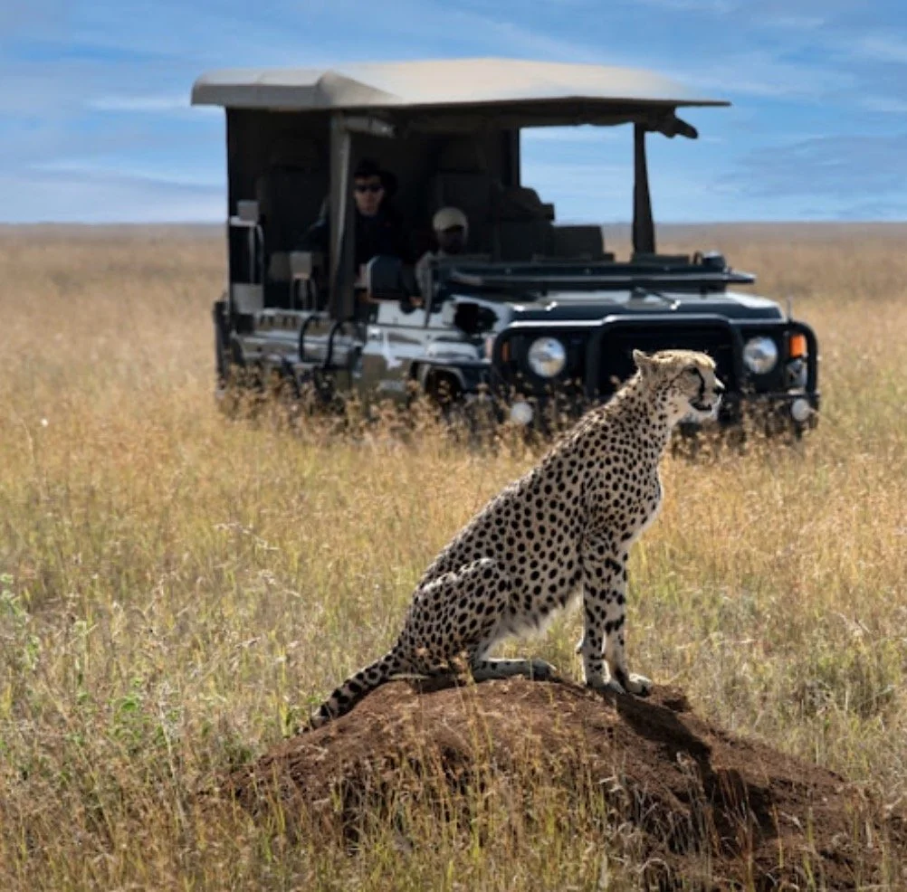 Screenshot 2026-03-23 at 7.58.44 AM.jpg