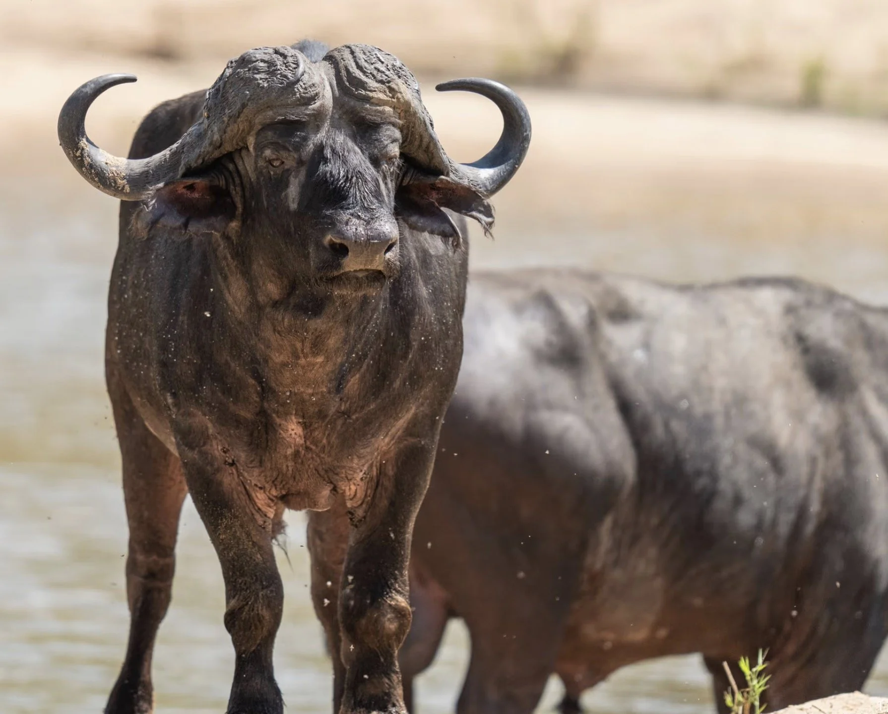 Screenshot 2026-04-03 at 3.08.22 PM.jpg