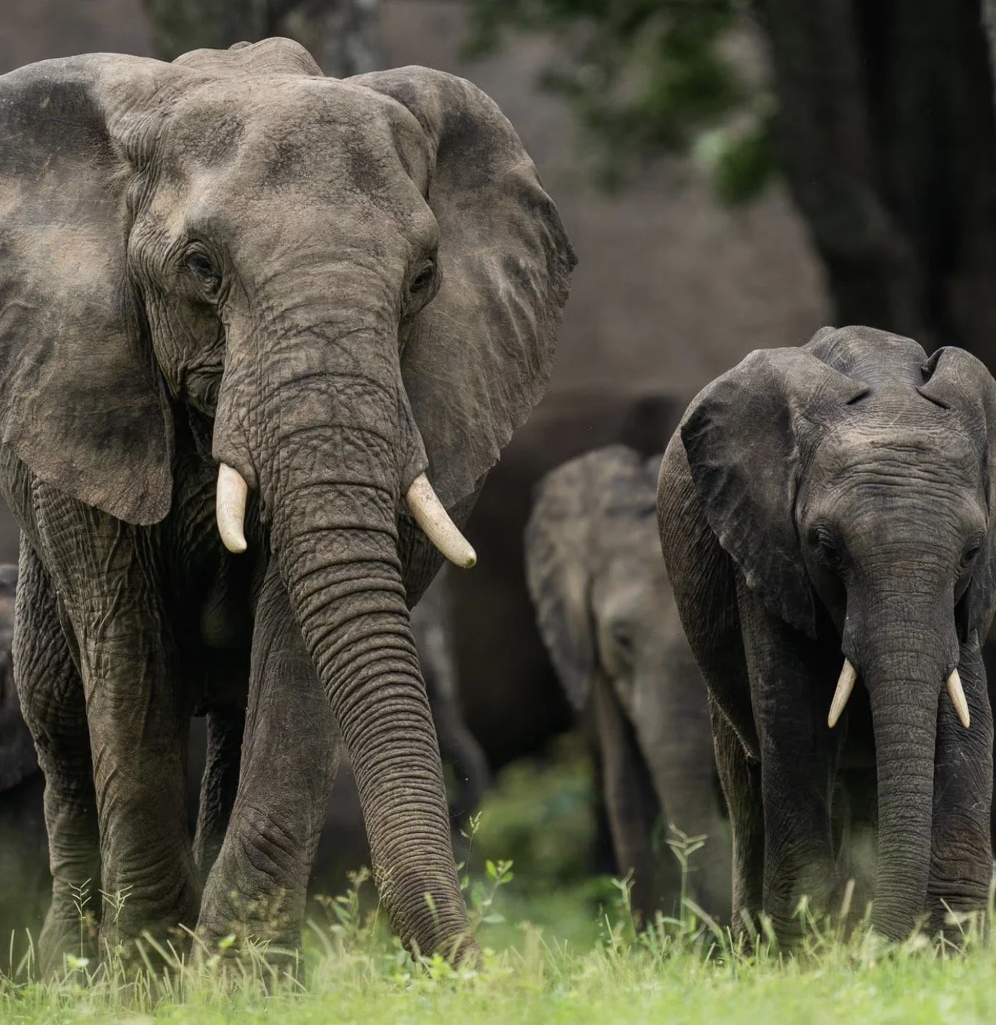 Screenshot 2026-04-03 at 3.02.30 PM.jpg