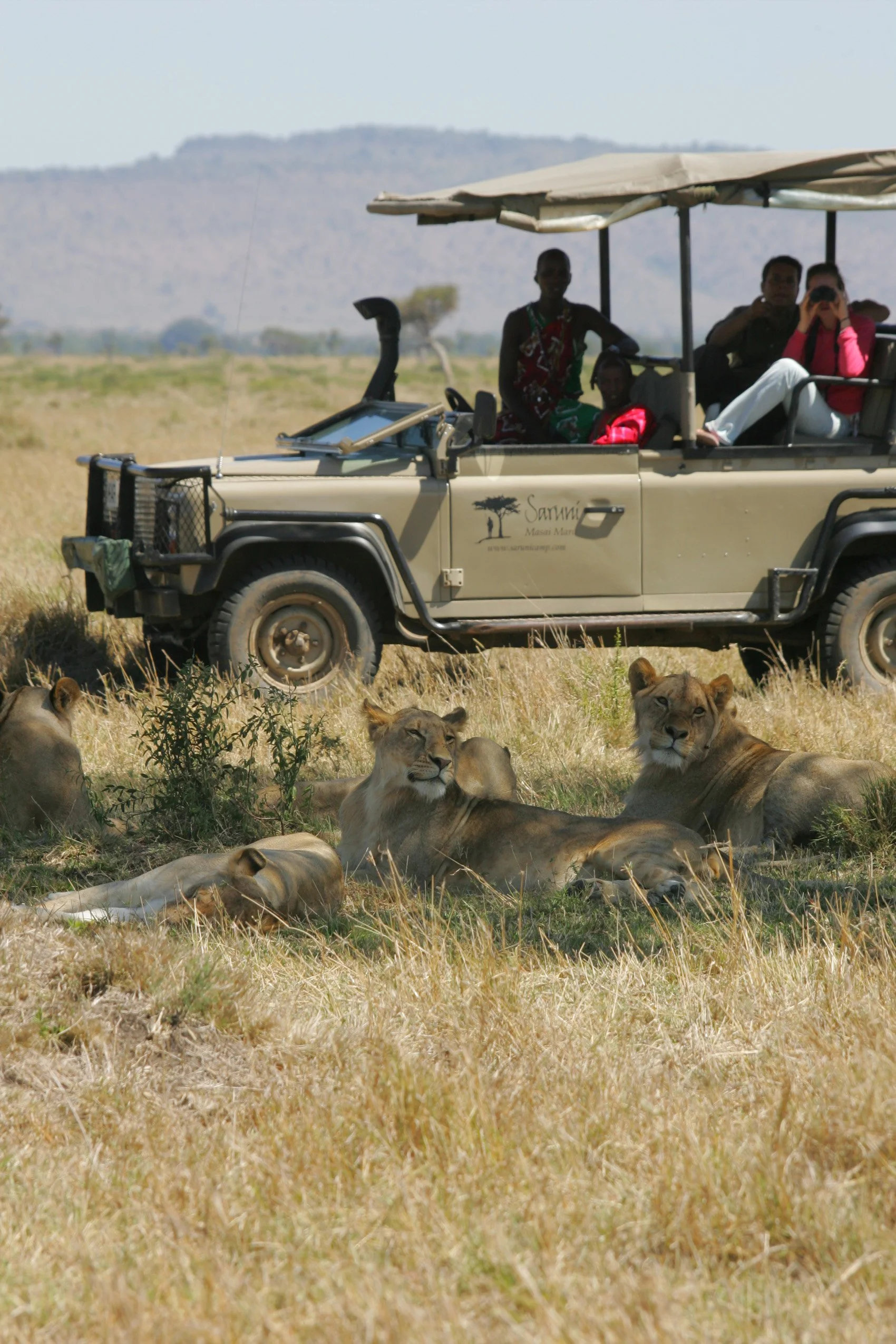 safari-in-kenya.jpg