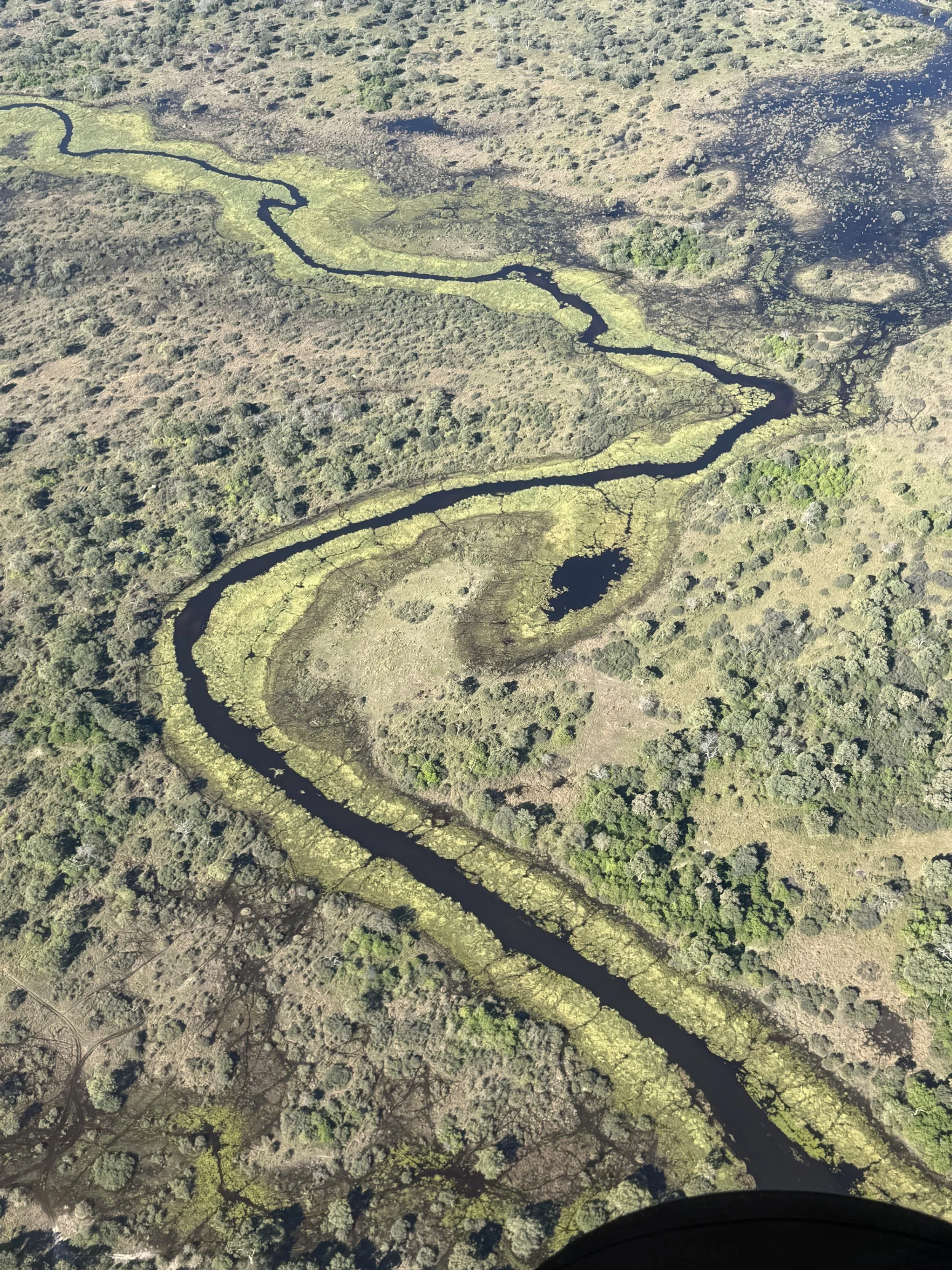 Okavango delta from above