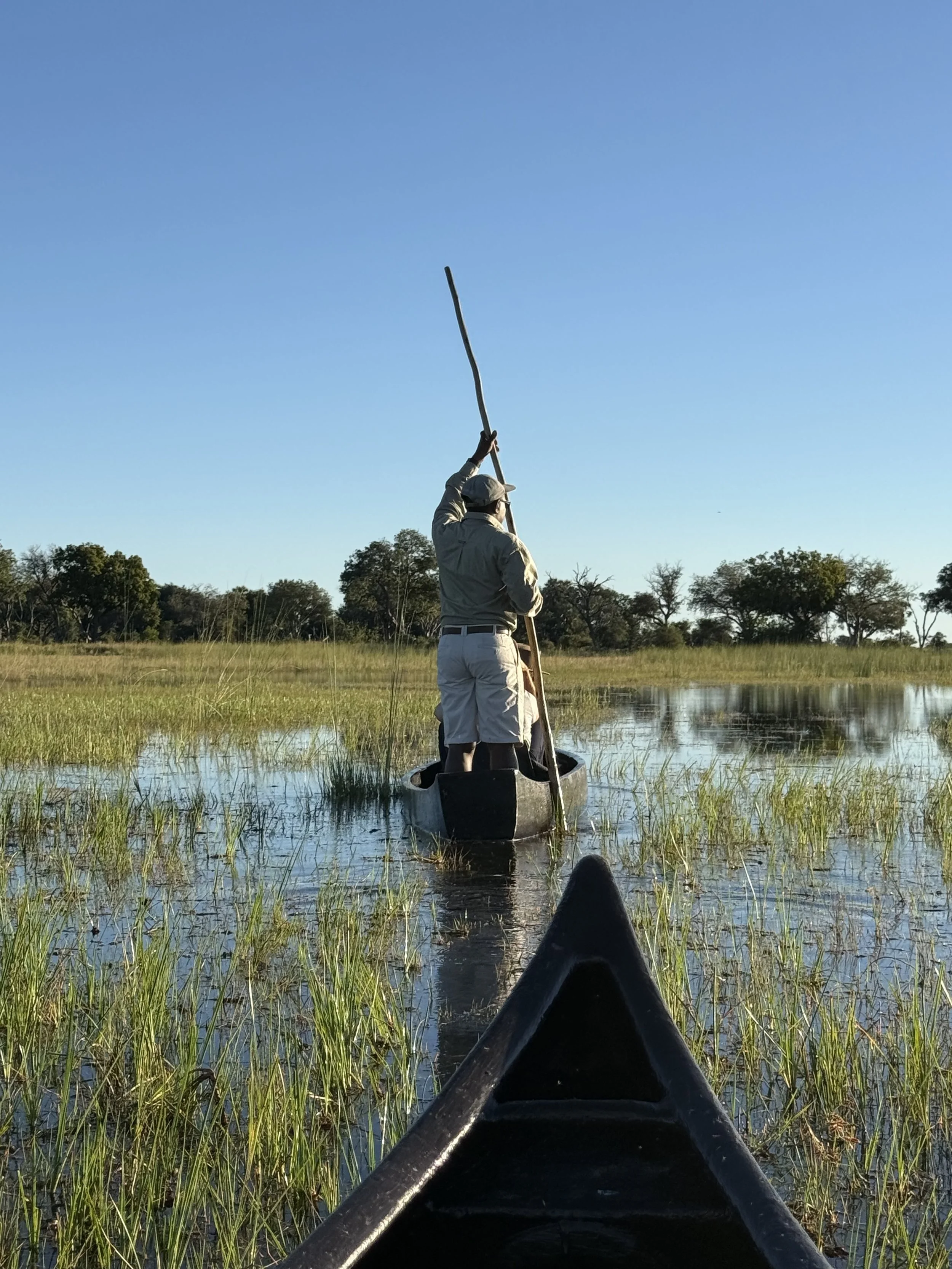 Exploring Botswana's Wild Heart: My Journey Through the Okavango Delta