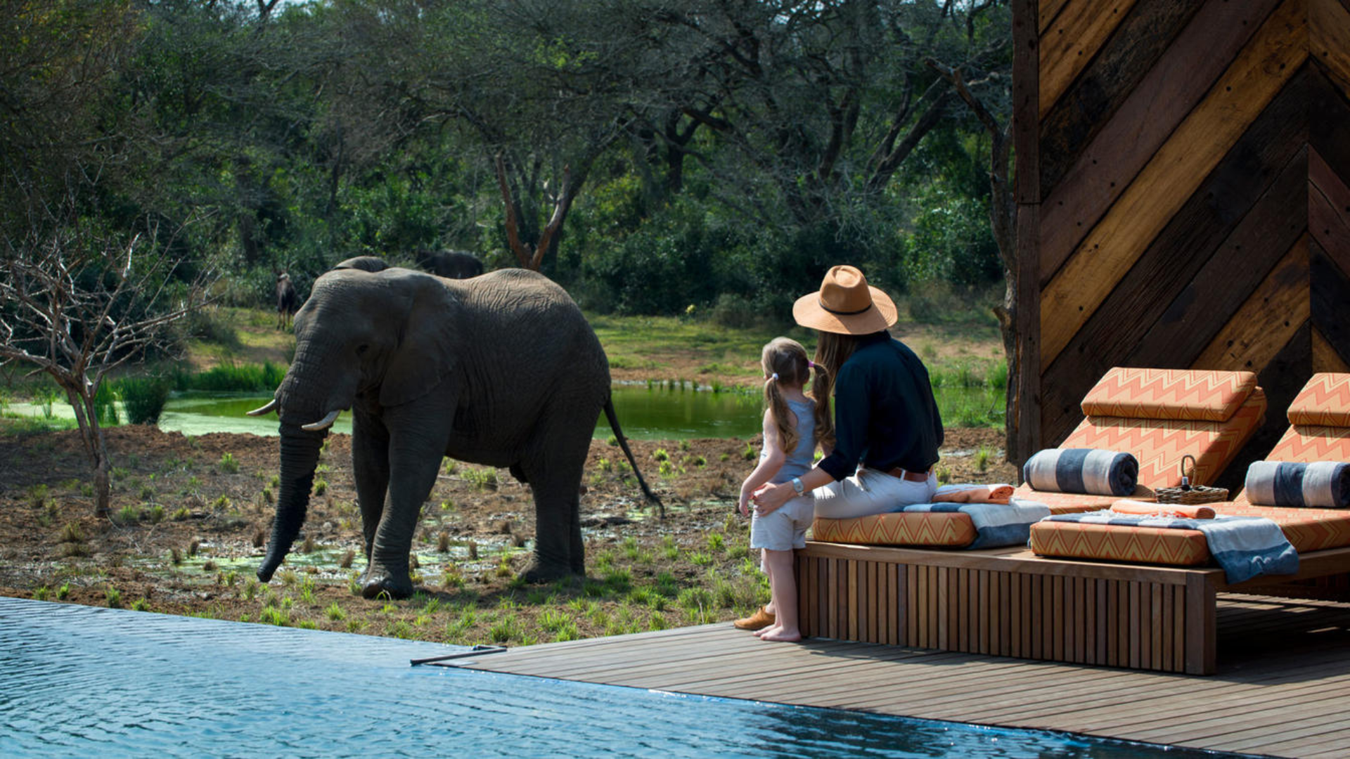 Mom and daughter watching an elephant outside their room on safari at Phinda Lodge in South Africa