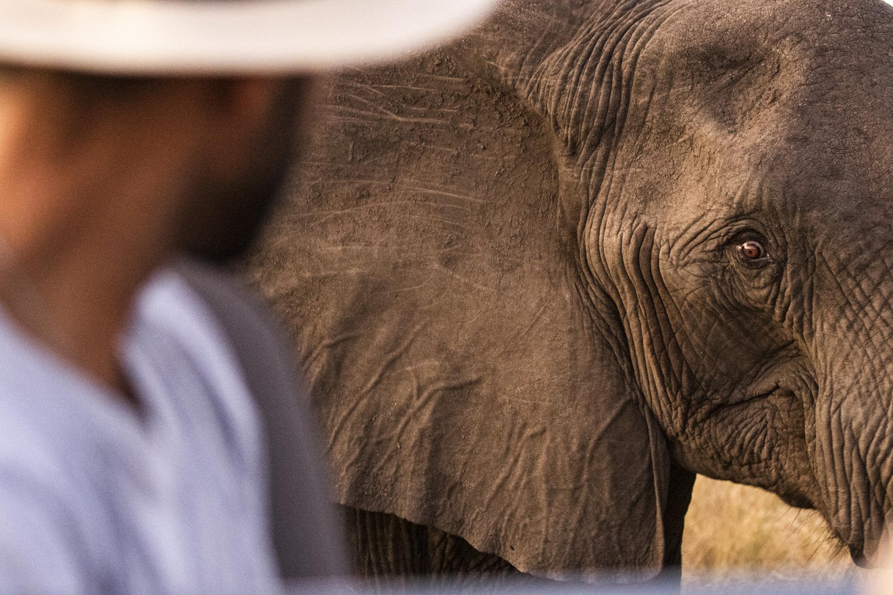 Singita Lebombo Lodge_2.jpg