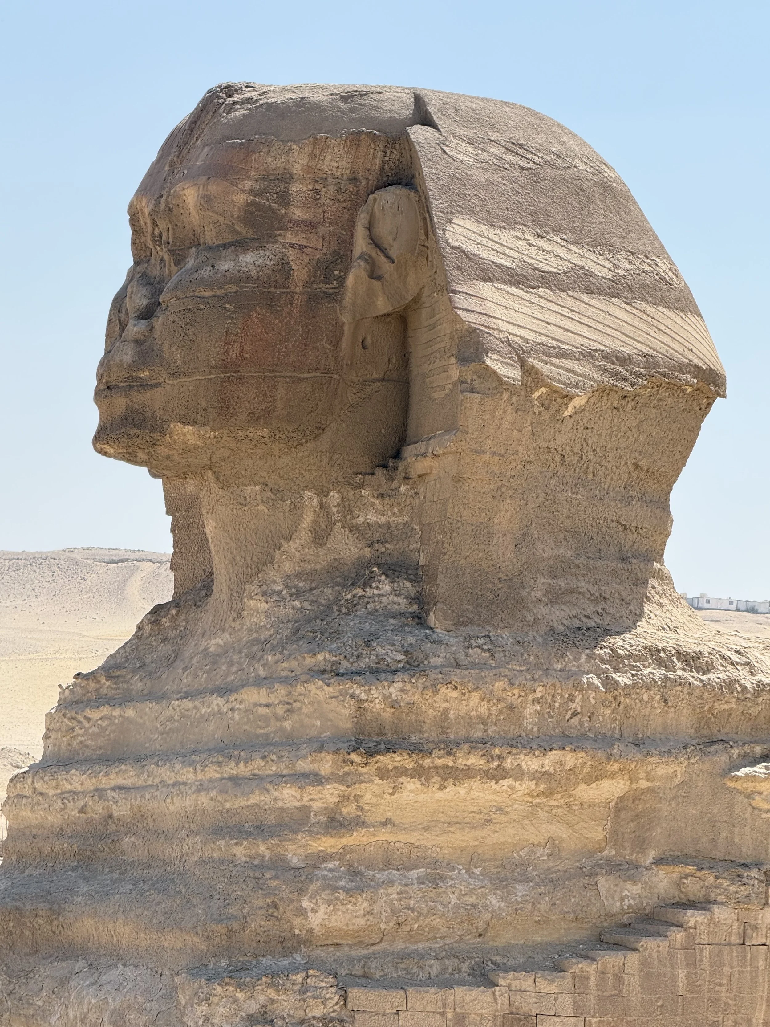 The Sphinx in Cairo, Egypt