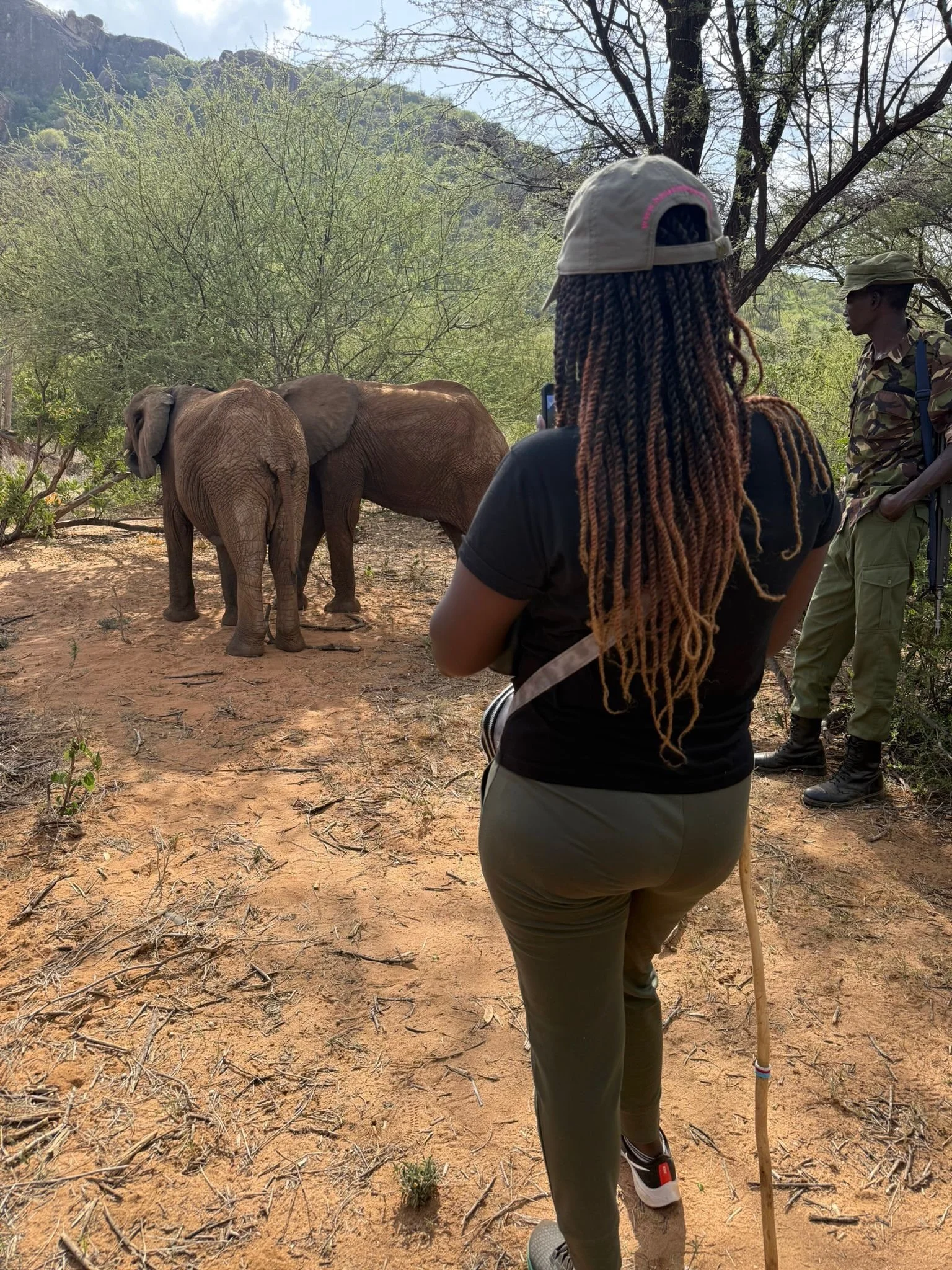 walk with elephants at Reteti Elephant Sanctuary in Kenya