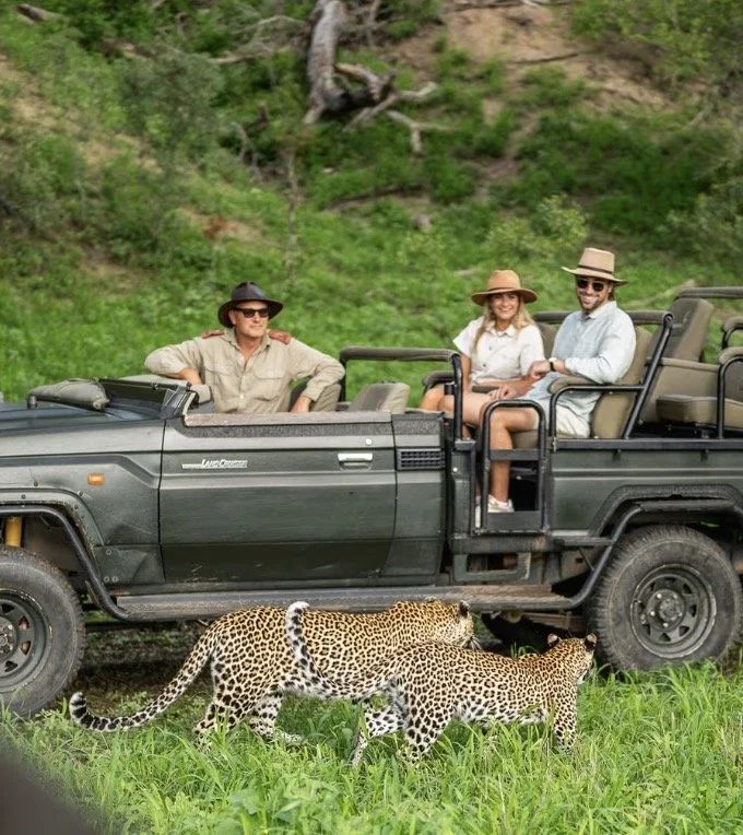 Clients viewing a leopard on safari at Mala Mala Game Reserve in South Africa