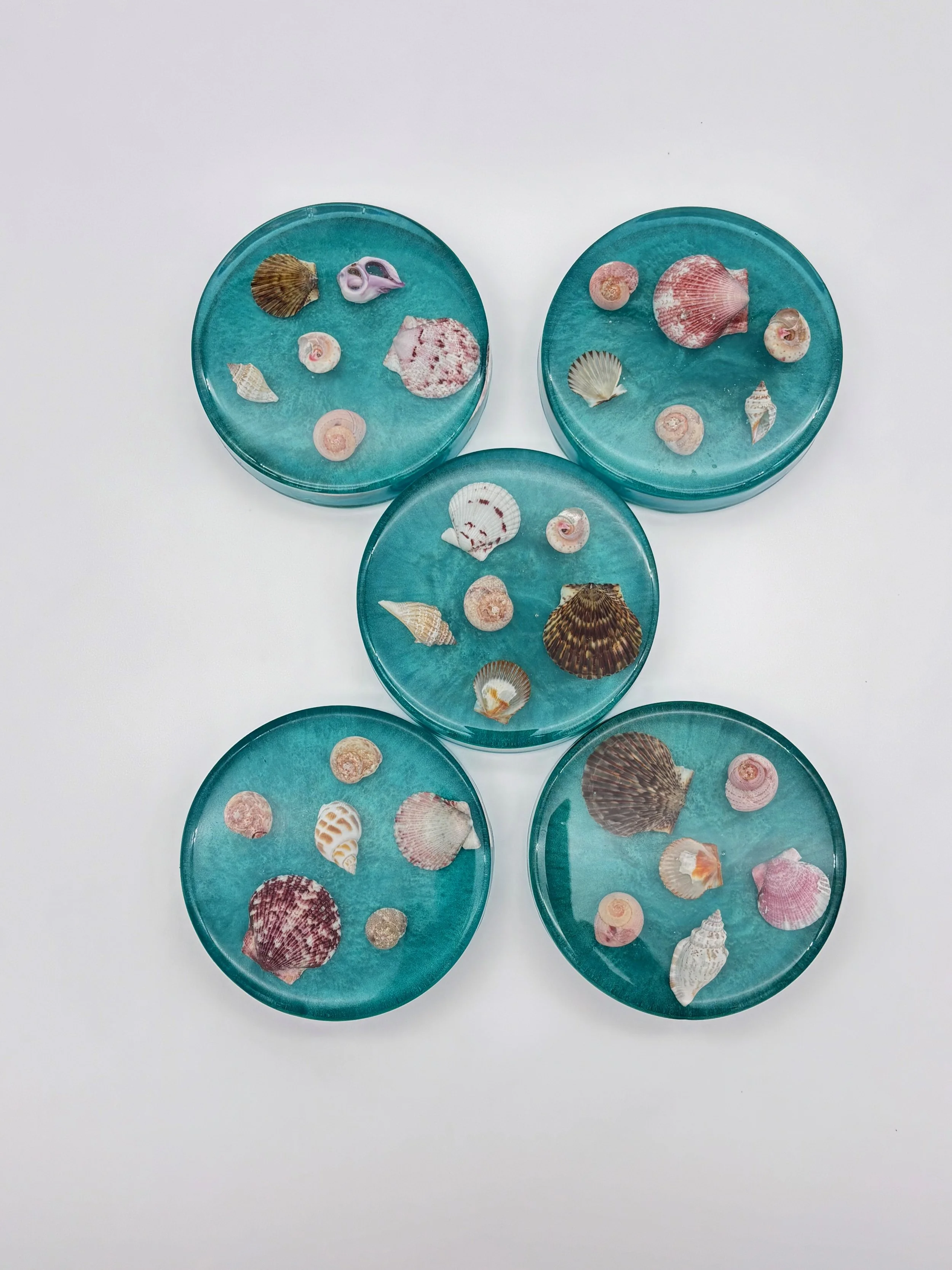 Coastal Seashell Coaster Set