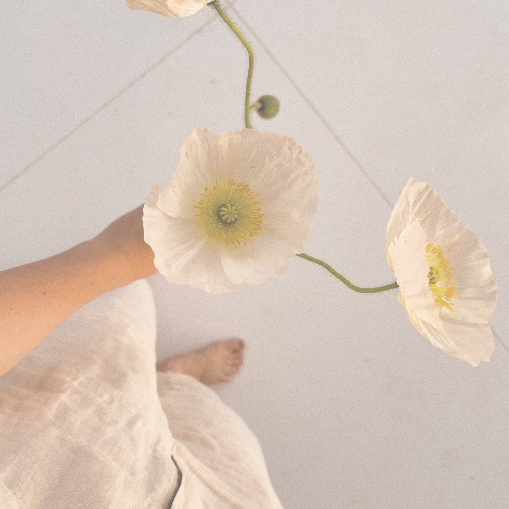 Person holding a white flower with yellow details, standing on a light-colored floor.