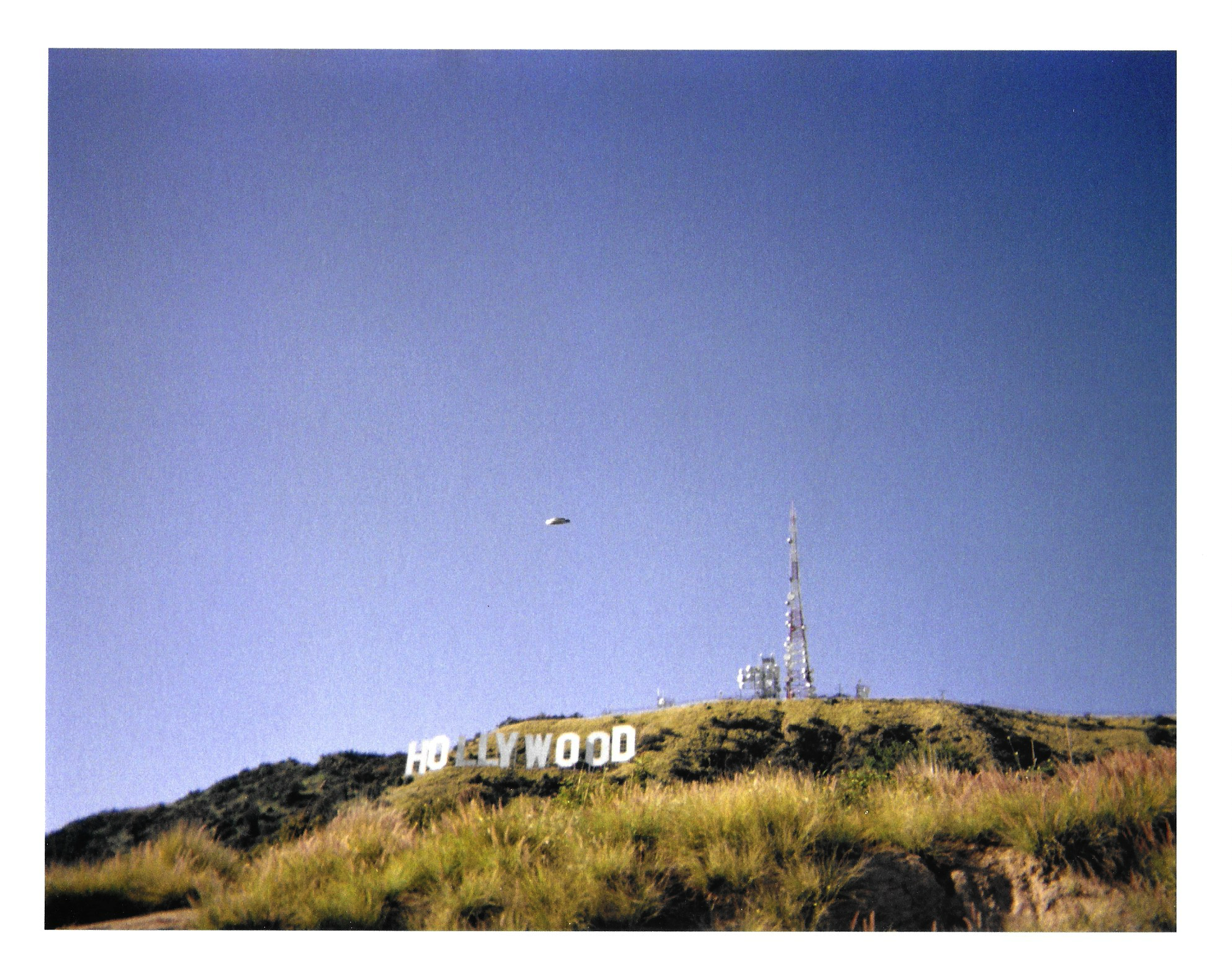 hollywood_sighting.png