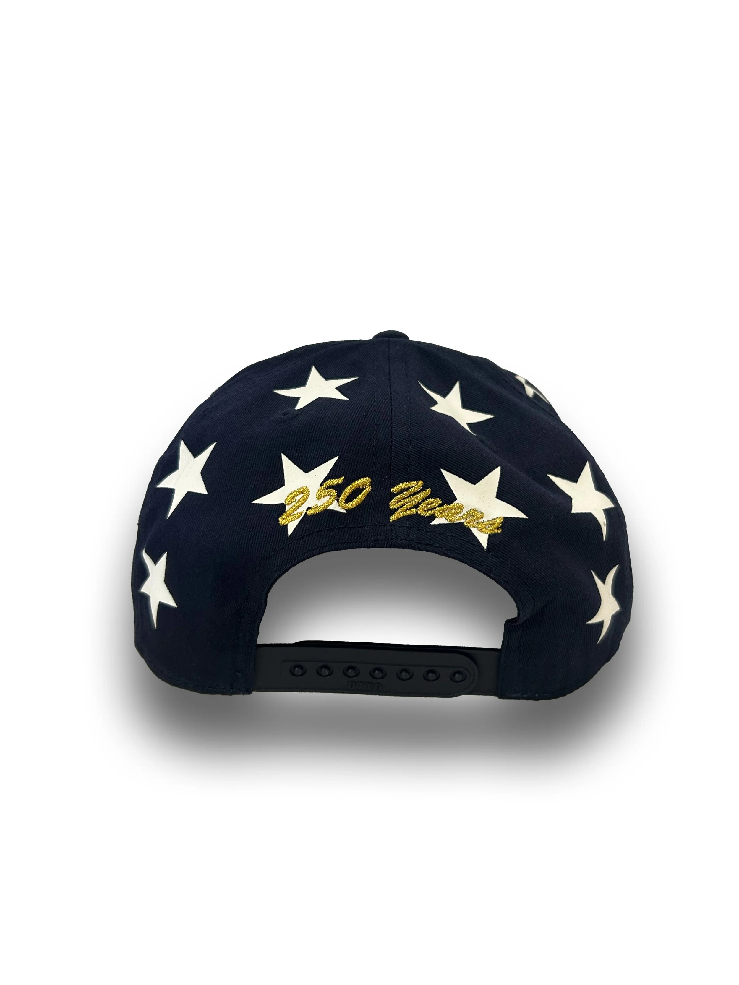 American flag back 250.jpg