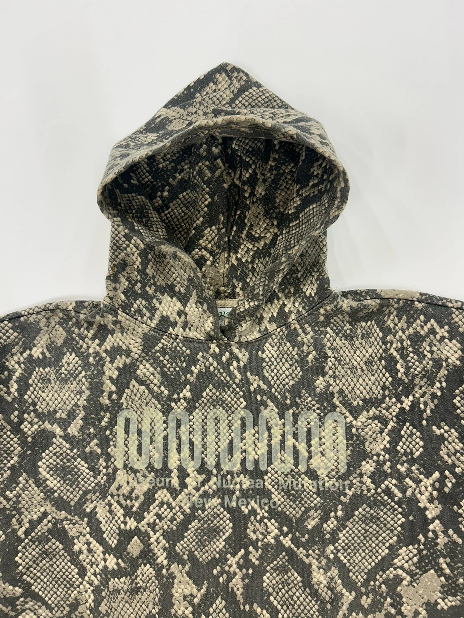 reptilian half light.jpg