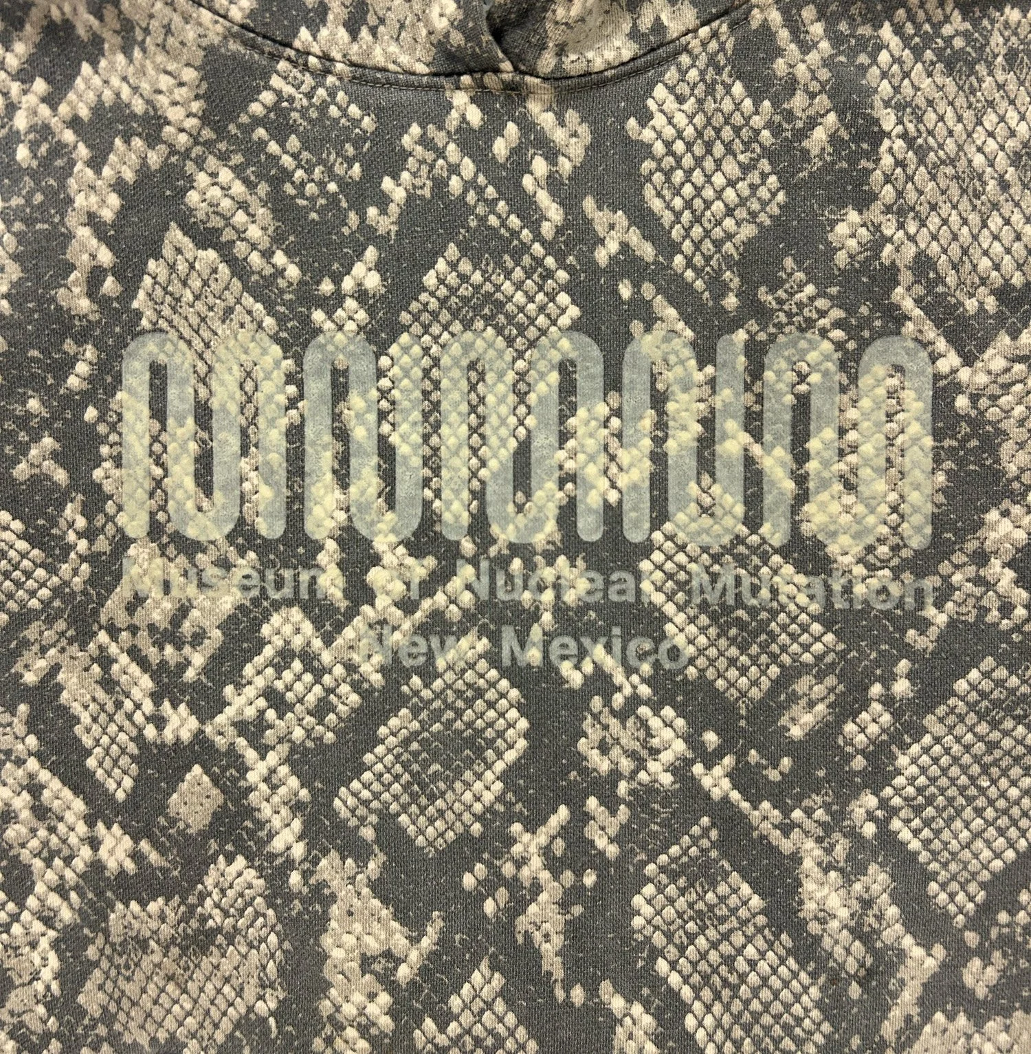 Reptilian detail light.jpg