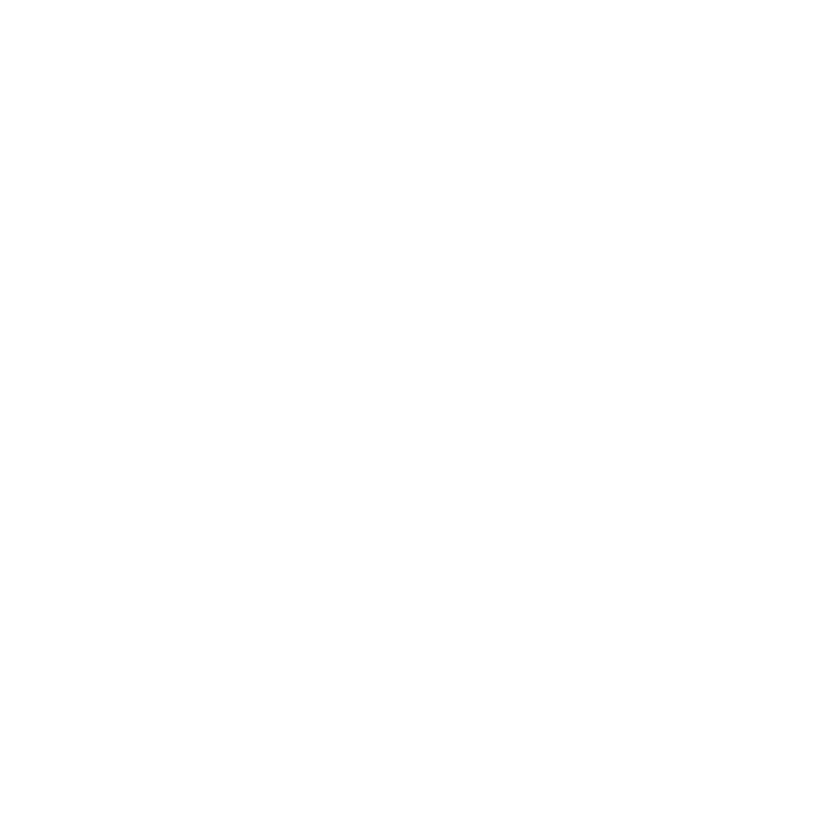 Logotipo en blanco y negro de la Villa de Patos con un escudo en el centro que tiene la forma de un castillo y el texto 'VILLA de PATOS' y 'Desde 1990'.