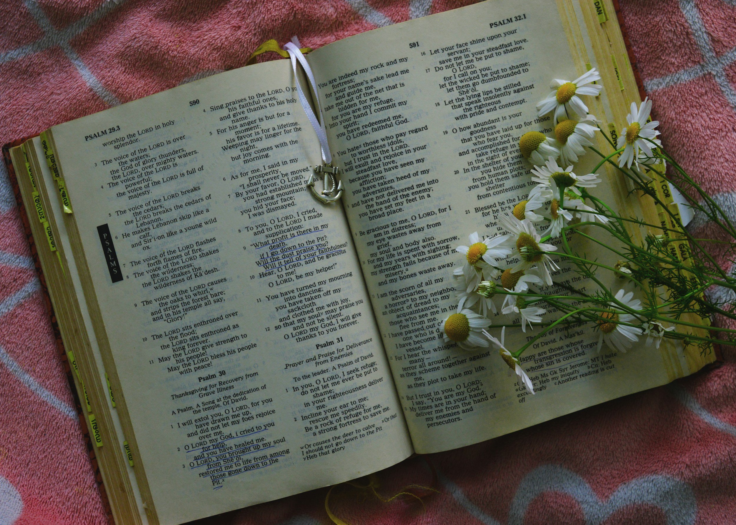 An open Bible with a daisy flower bouquet and a necklace on it, resting on a pink blanket.