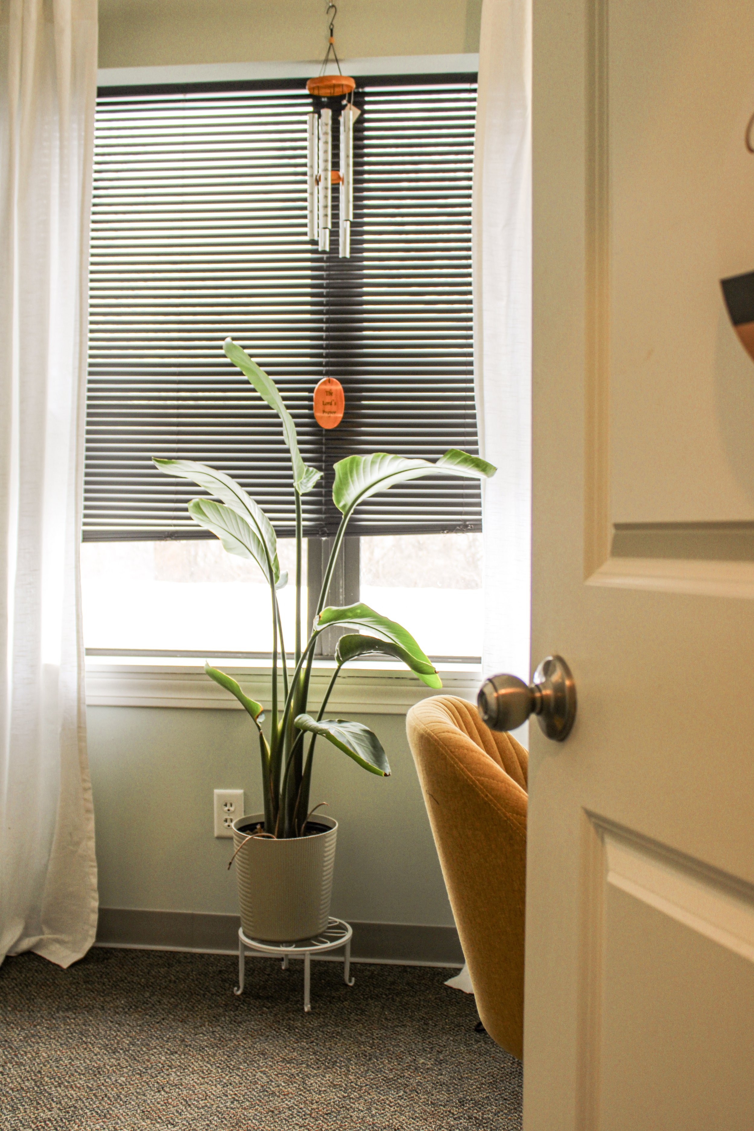 The door is open.jpg