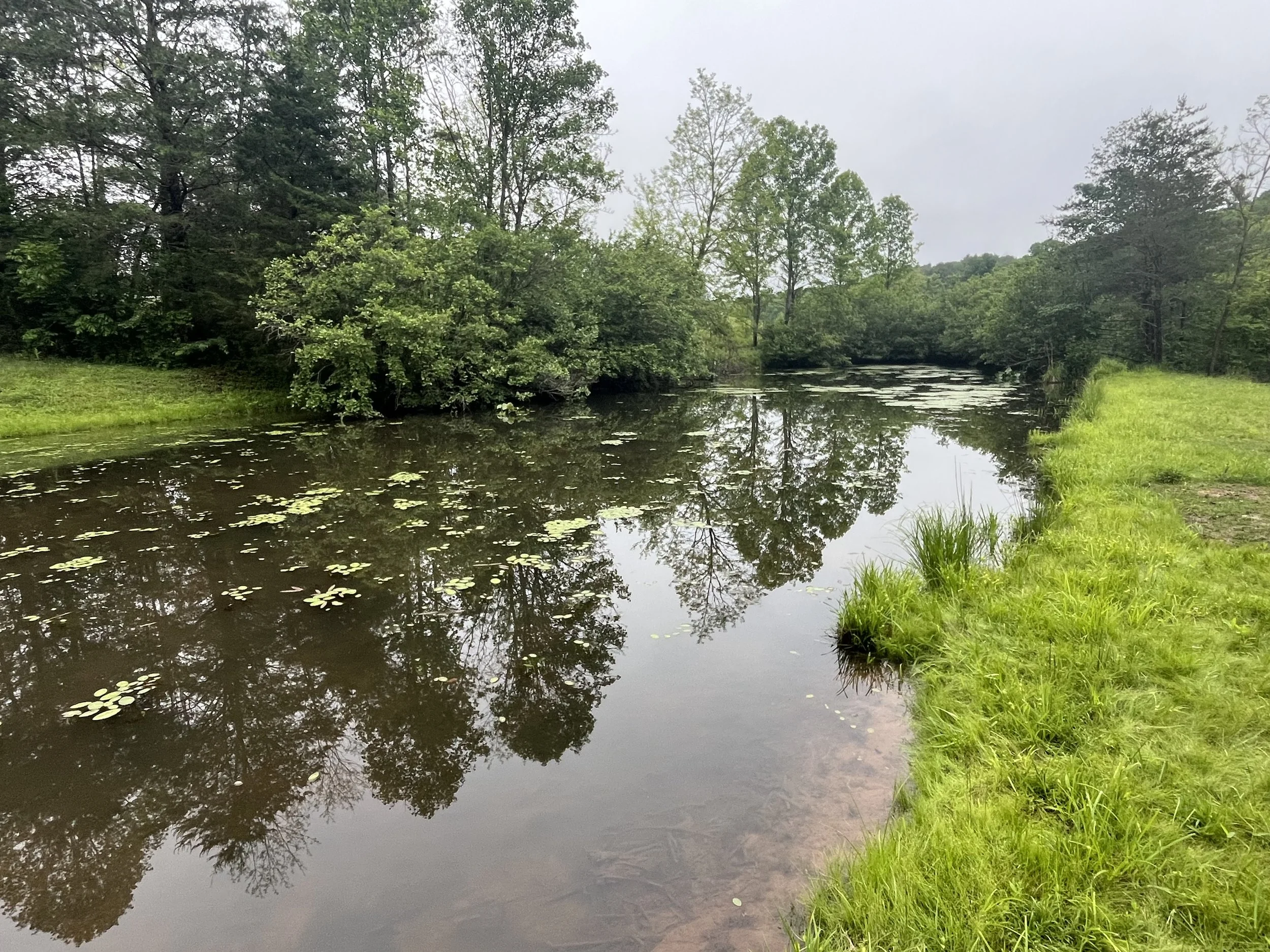 𝐖𝐡𝐚𝐭 𝐇𝐚𝐩𝐩𝐞𝐧𝐬 𝐖𝐡𝐞𝐧 𝐑𝐞𝐚𝐥𝐢𝐭𝐲 𝐂𝐨𝐥𝐥𝐢𝐝𝐞𝐬 𝐰𝐢𝐭𝐡 𝐈𝐝𝐞𝐧𝐭𝐢𝐭𝐲?