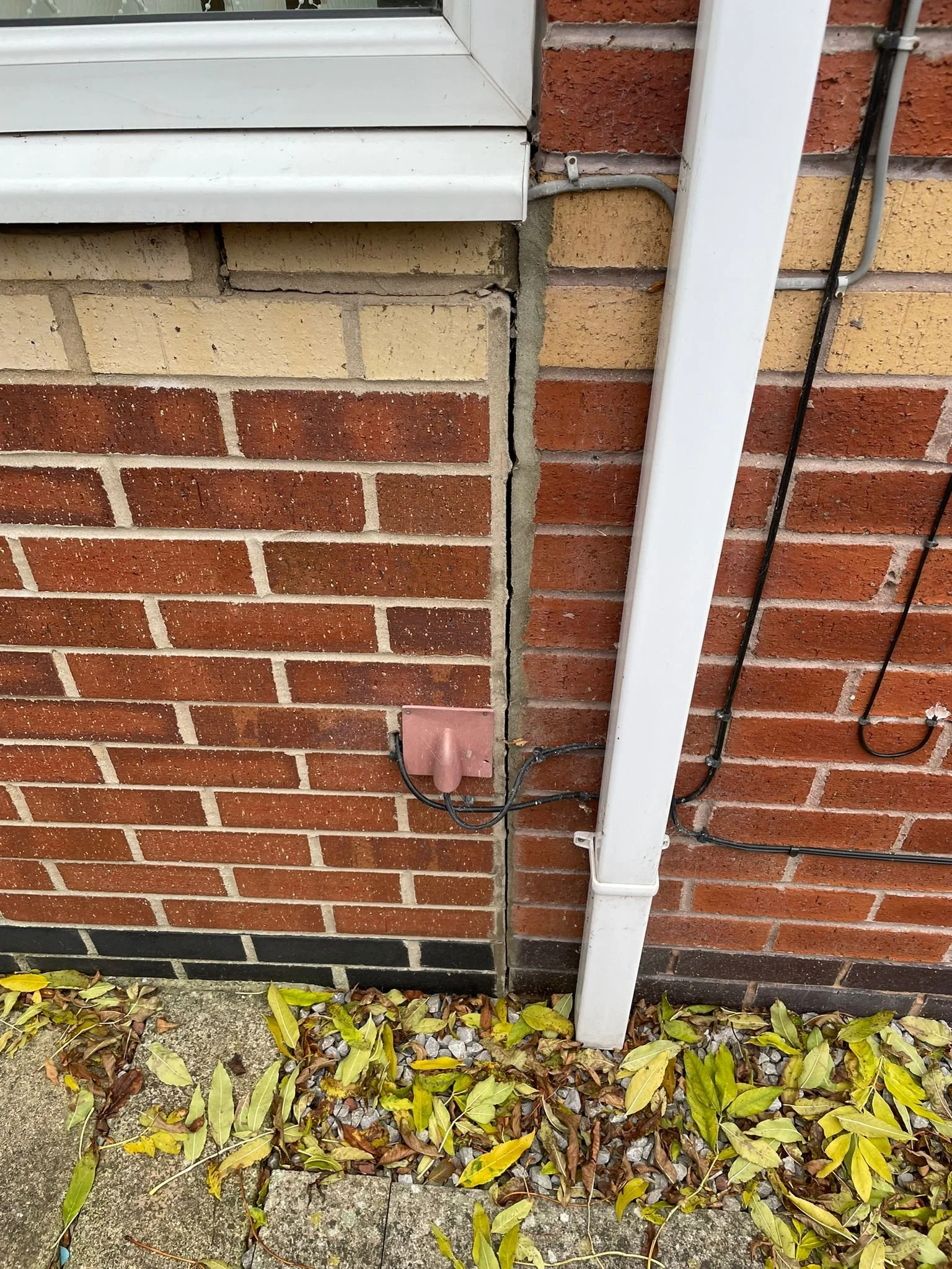 Assessments & Inspections