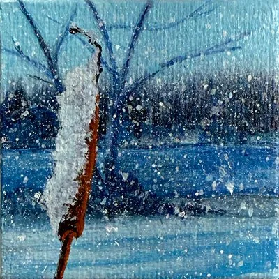 A cattail (plant) partly covered in snow with part of Casco Bay in the background