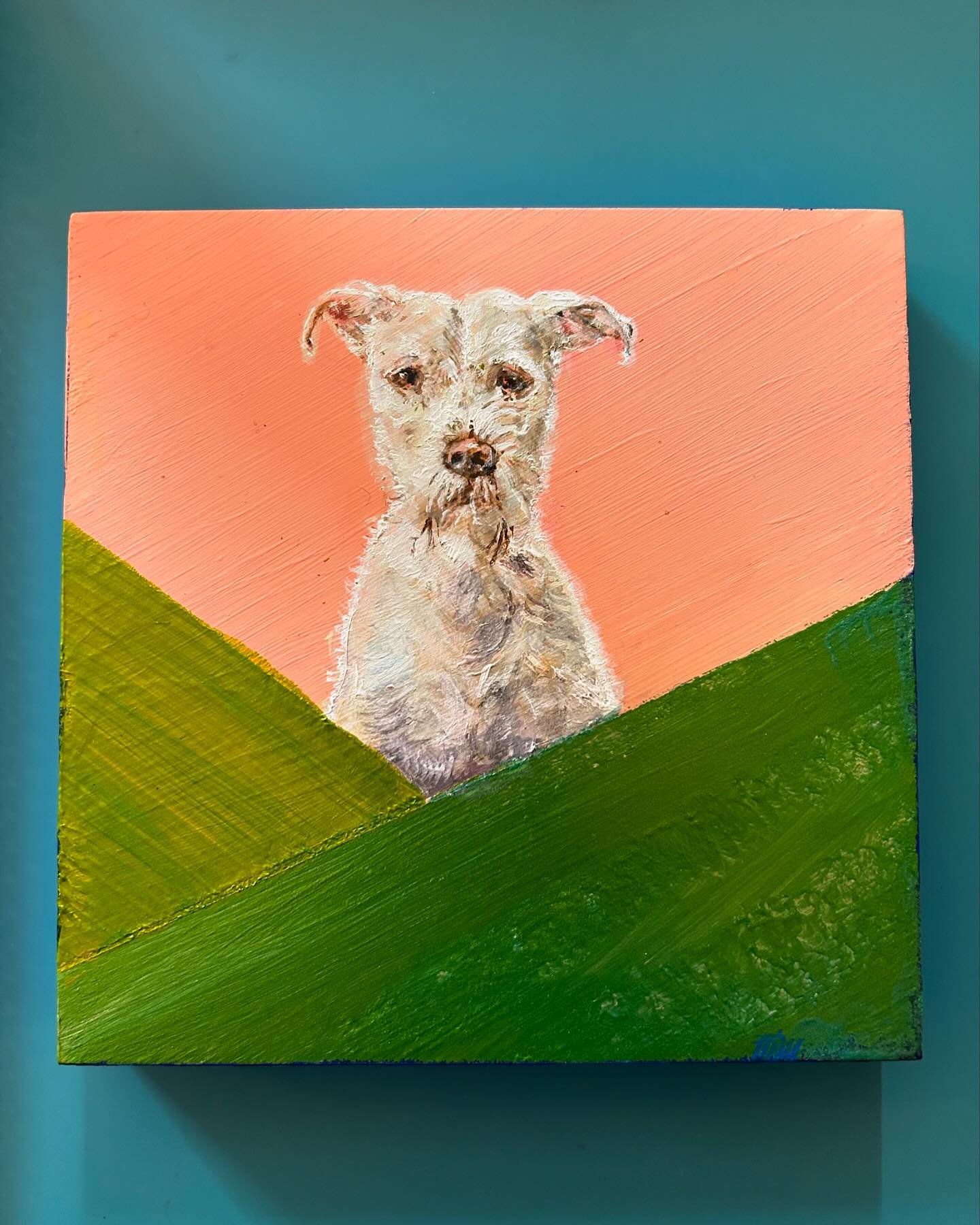 I have known #Lola since she was a wee babe. She and @leahfoxine came home from the shelter the same week and, with her parents, Rachel and Daniel, were upstairs neighbors and fast friends. We moved two months later and didn&rsquo;t reconnect until w