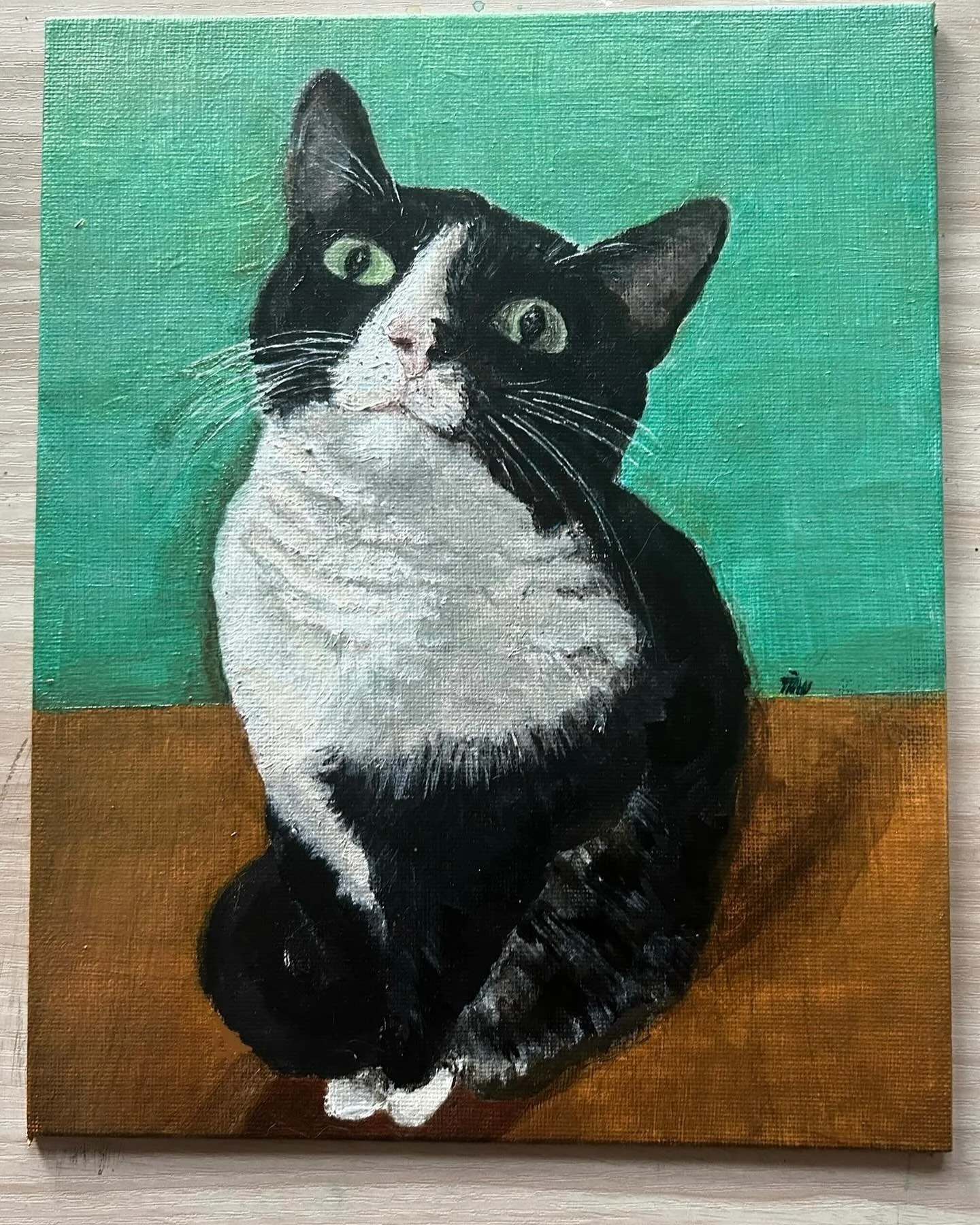 Sweet #Klara is finally done and on her way to see her parents in time for the holidays! 🦃 ⁣
⁣
Her dad shared that he first met Klara when she was stuck in the engine compartment of a truck. He rescued her and they&rsquo;ve been inseparable since. ?