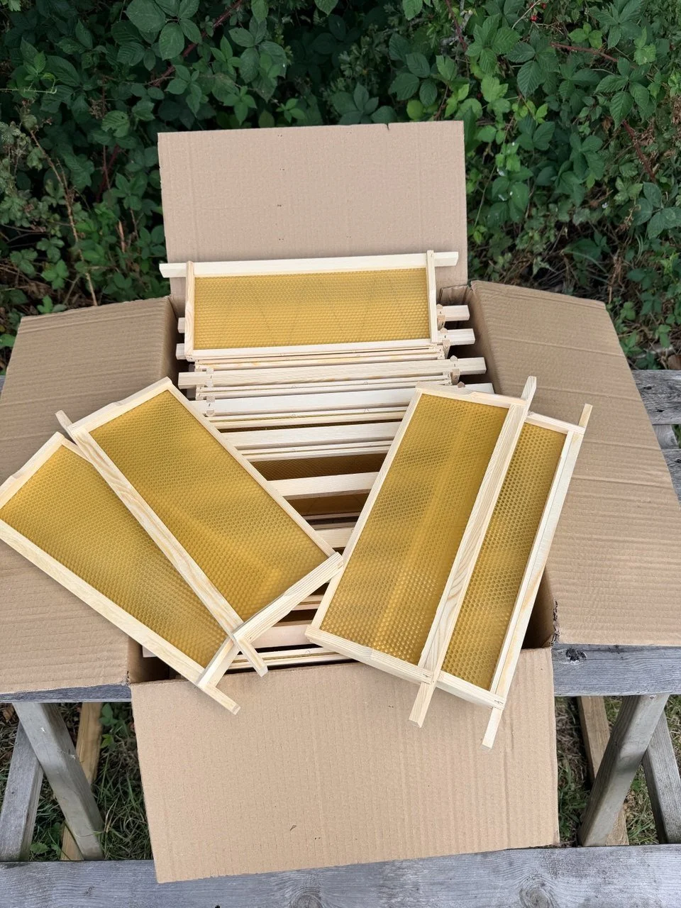 22pcs Assembled National SUPER Frames and wired foundation