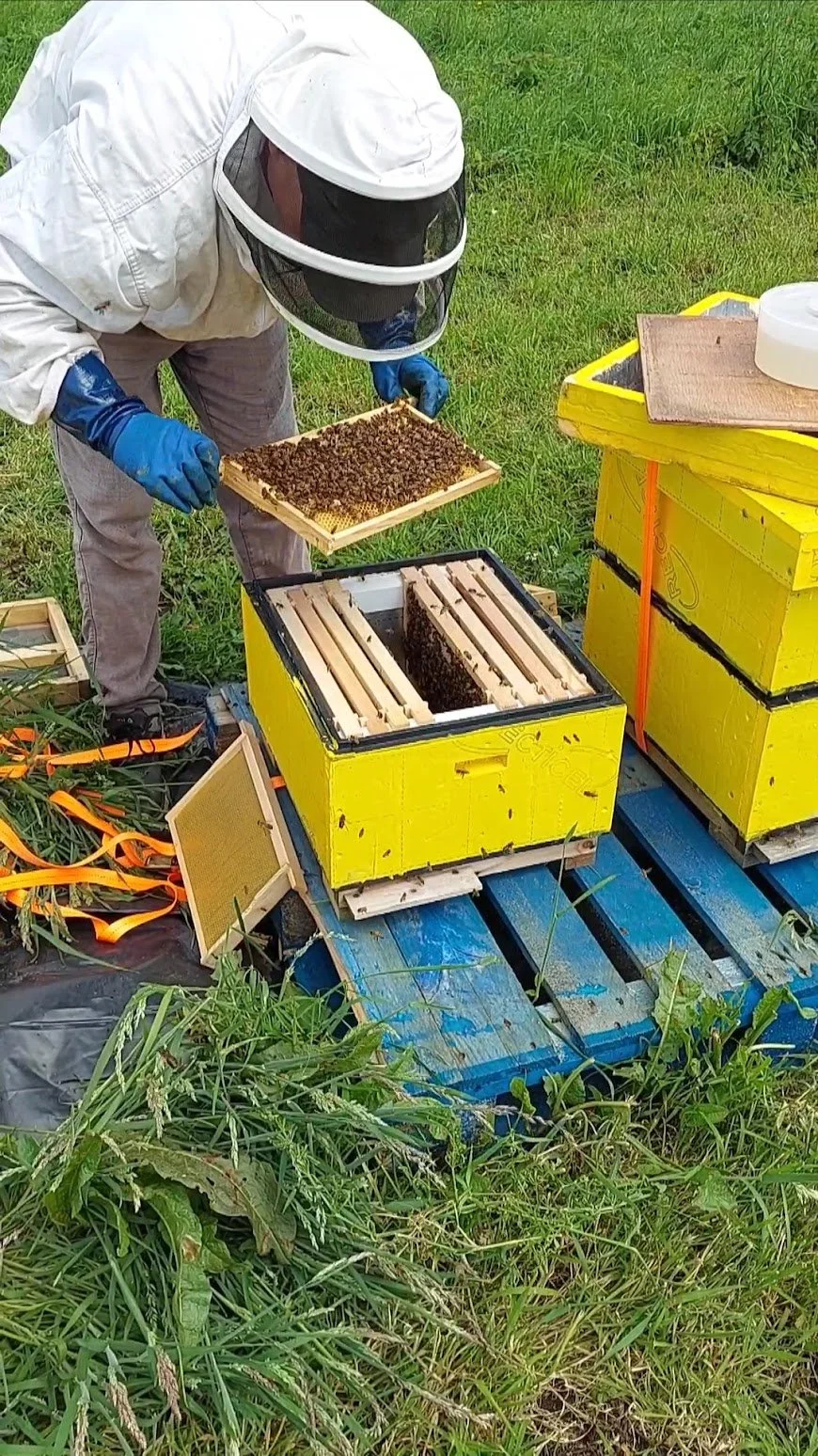 VideoCapture_20241123-115727.jpg