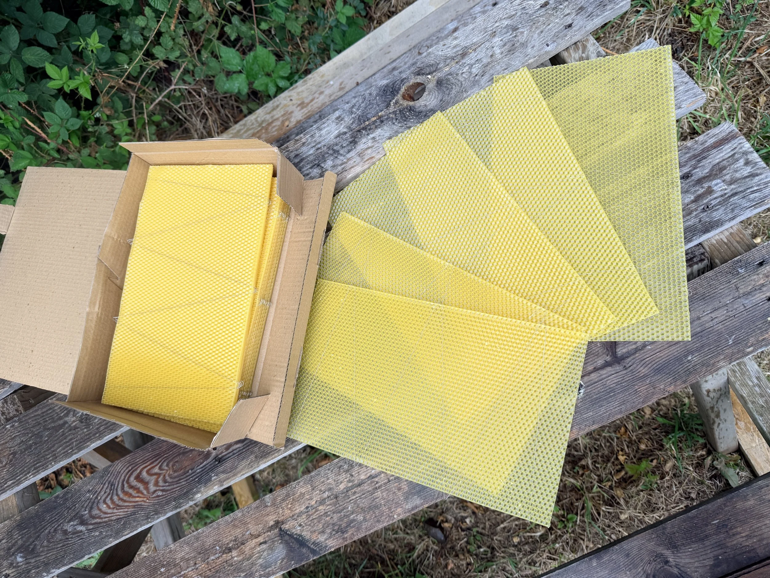 IMG_5880.JPG