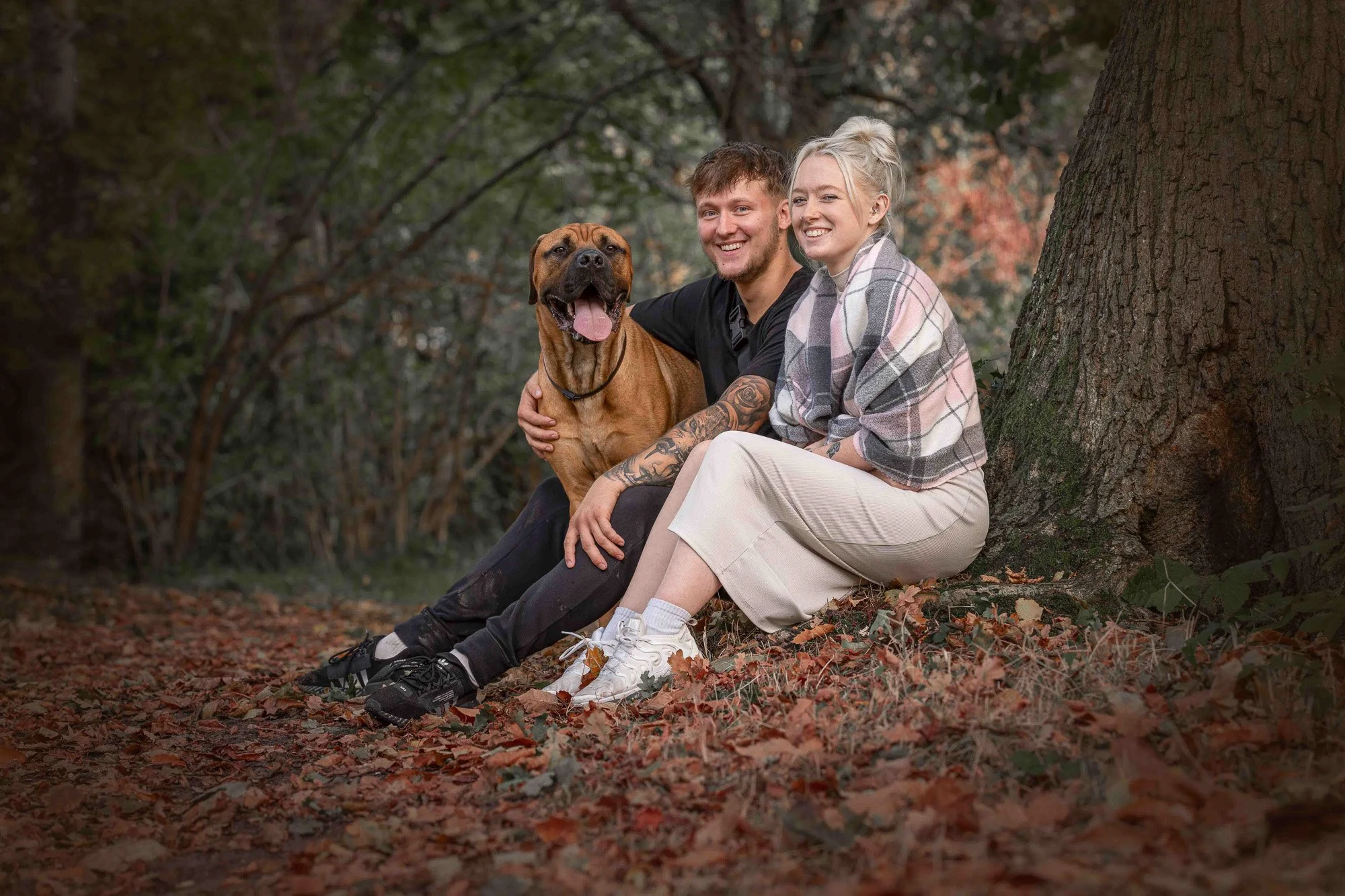 A smiling couple sitting on the ground in a wooded area with their largerottweiler x mastiff dog. The man has tattoos on his arm, and the woman is wrapped in a plaid blanket. They are sitting against a large tree surrounded by fallen autumn leaves.