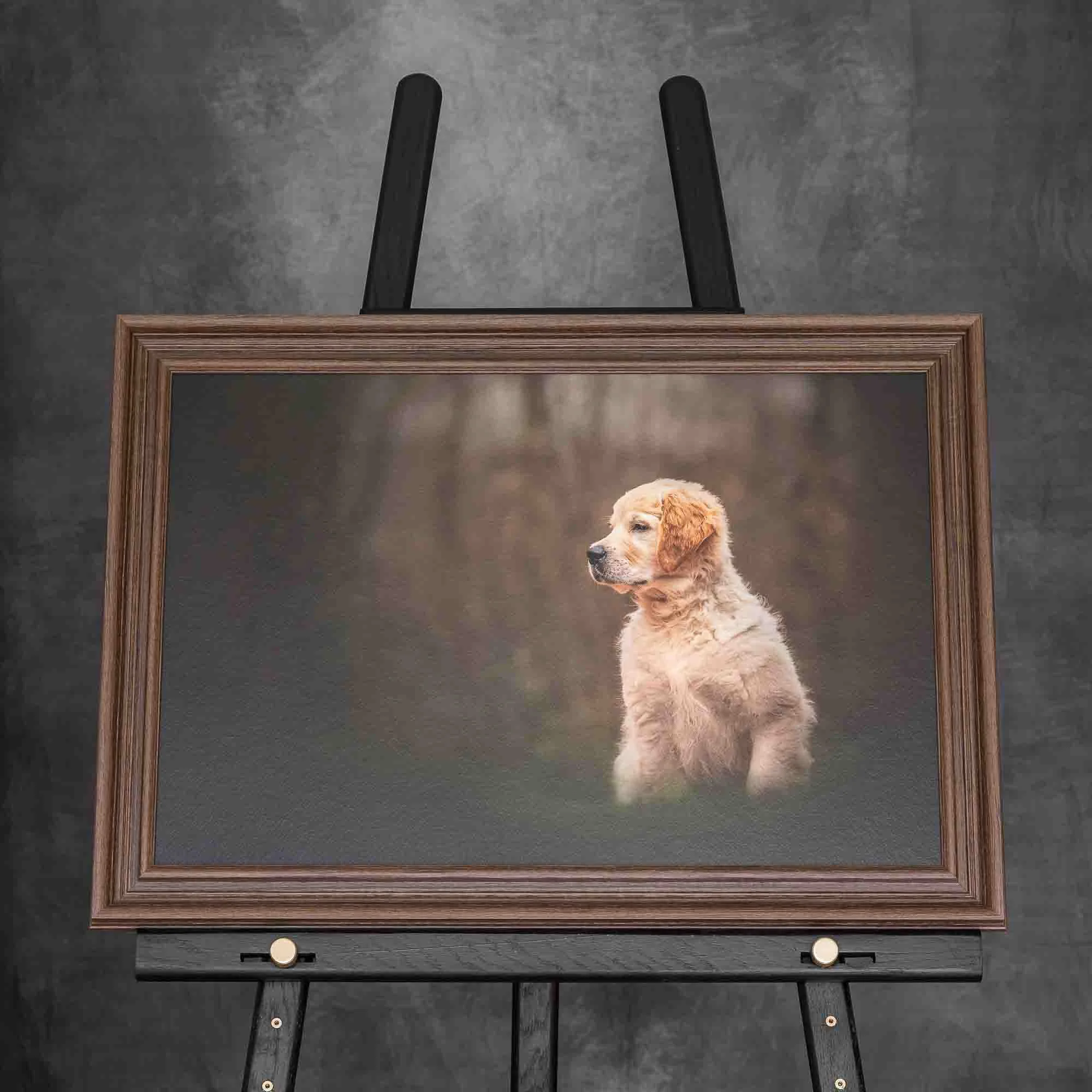 A framed picture of a young golden retriever puppy sitting outdoors on a blurred natural background, displayed on an easel.