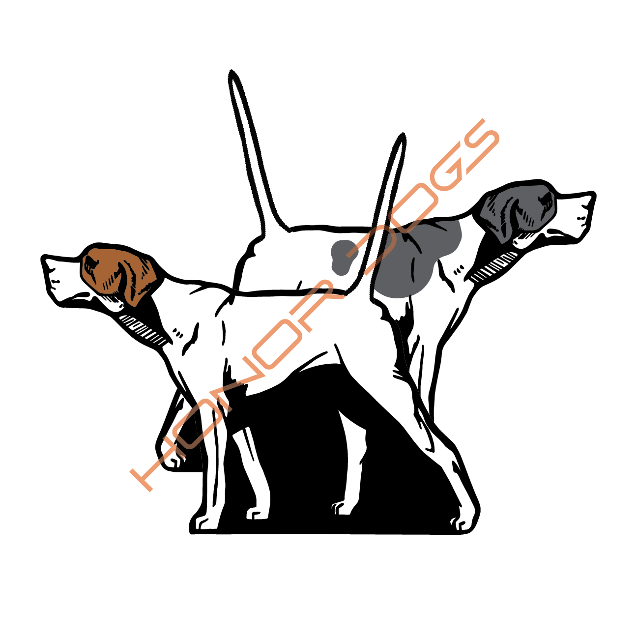 Pointer Web.png