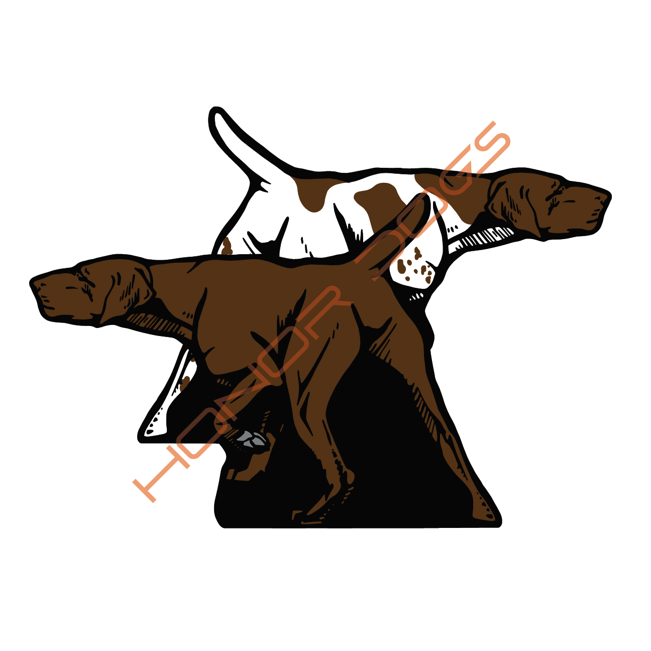 GSP Web.png