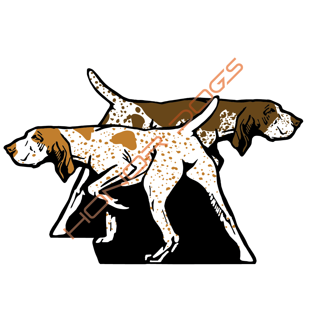 Bracco Web.png
