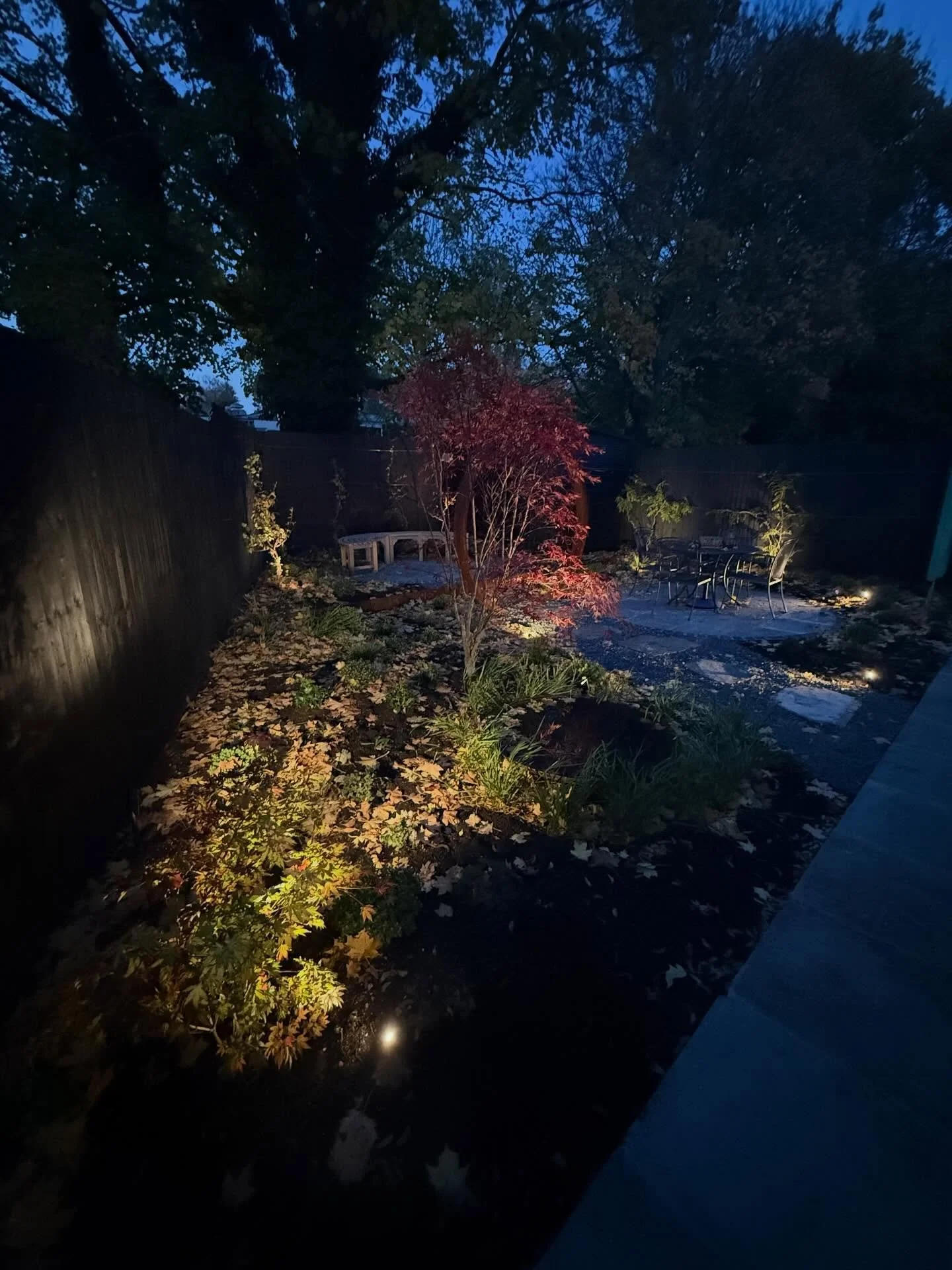 @inlite_global system provided by @landscapeplus_uk @sam_landscapeplus used on our @joesavagelandscape  Japanese inspired garden.

Great low voltage 12v system that is controlled via your phone. 

#inlite #light #garden #gardenlights #lighting #desig