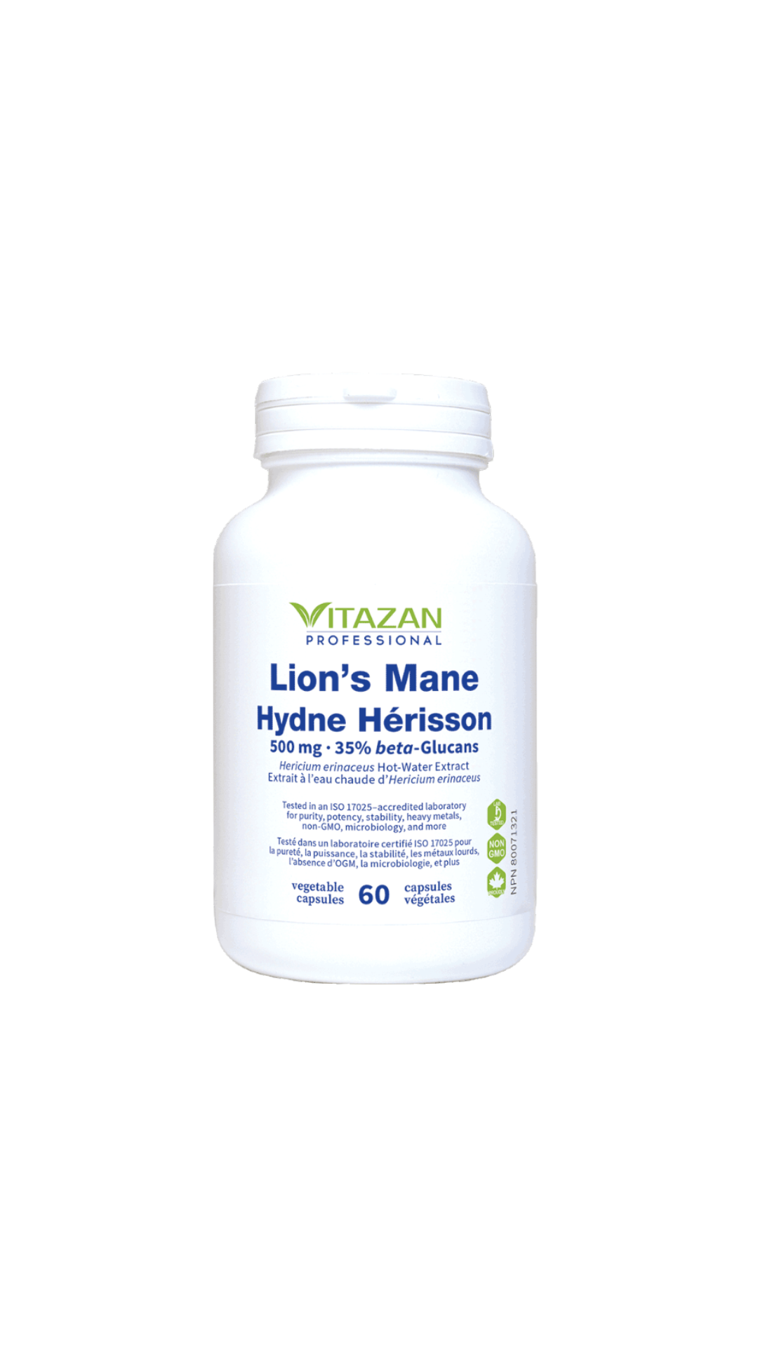 Lion's Mane 60 Capsules