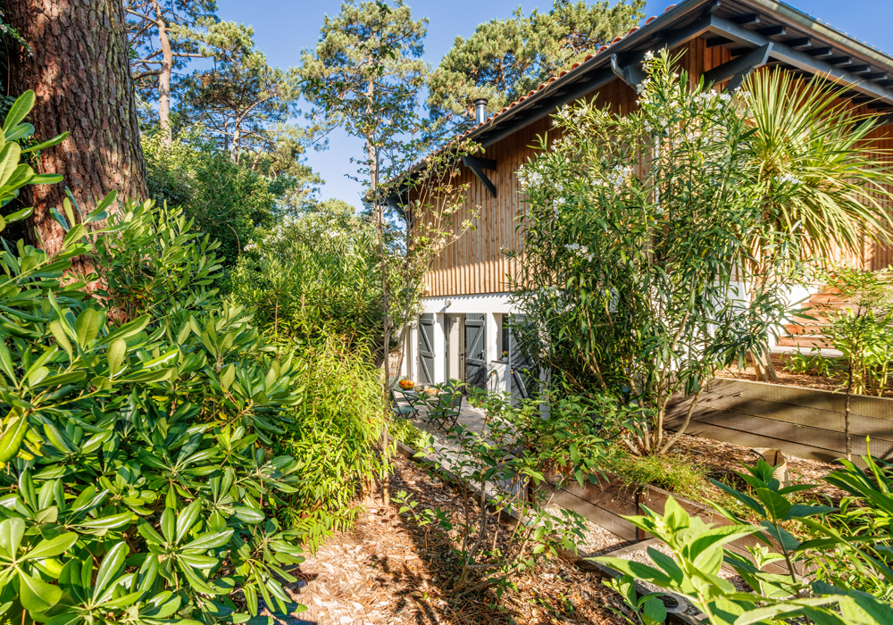 Plan large d'un airbnb boisé à pyla-sur-mer photographié par Studio Mila, photographe immobilier